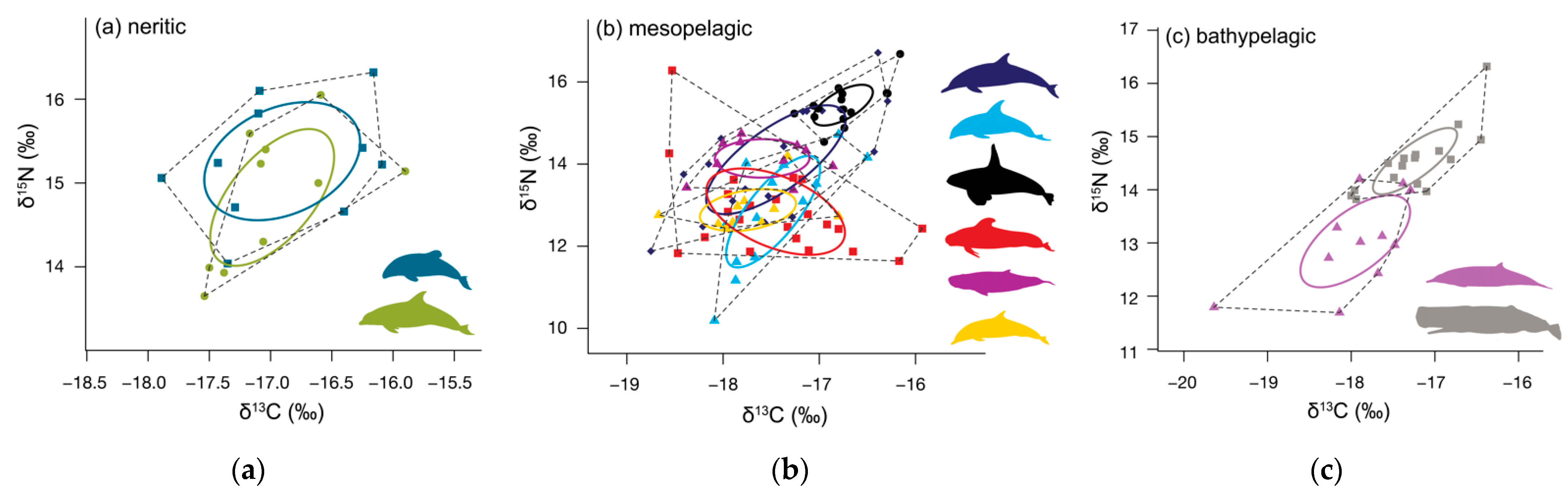 Biology 11 01179 g004