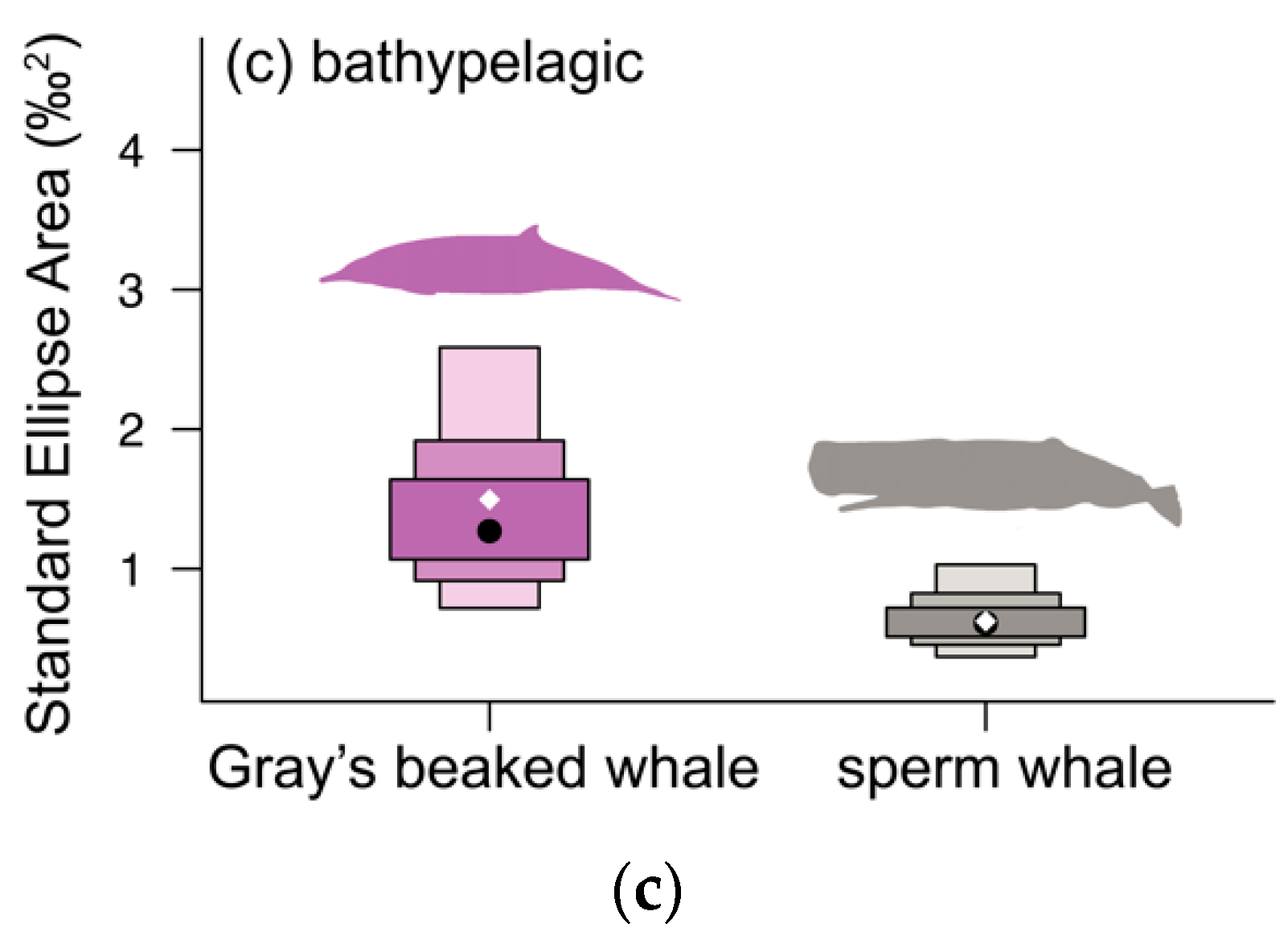 Biology 11 01179 g005b