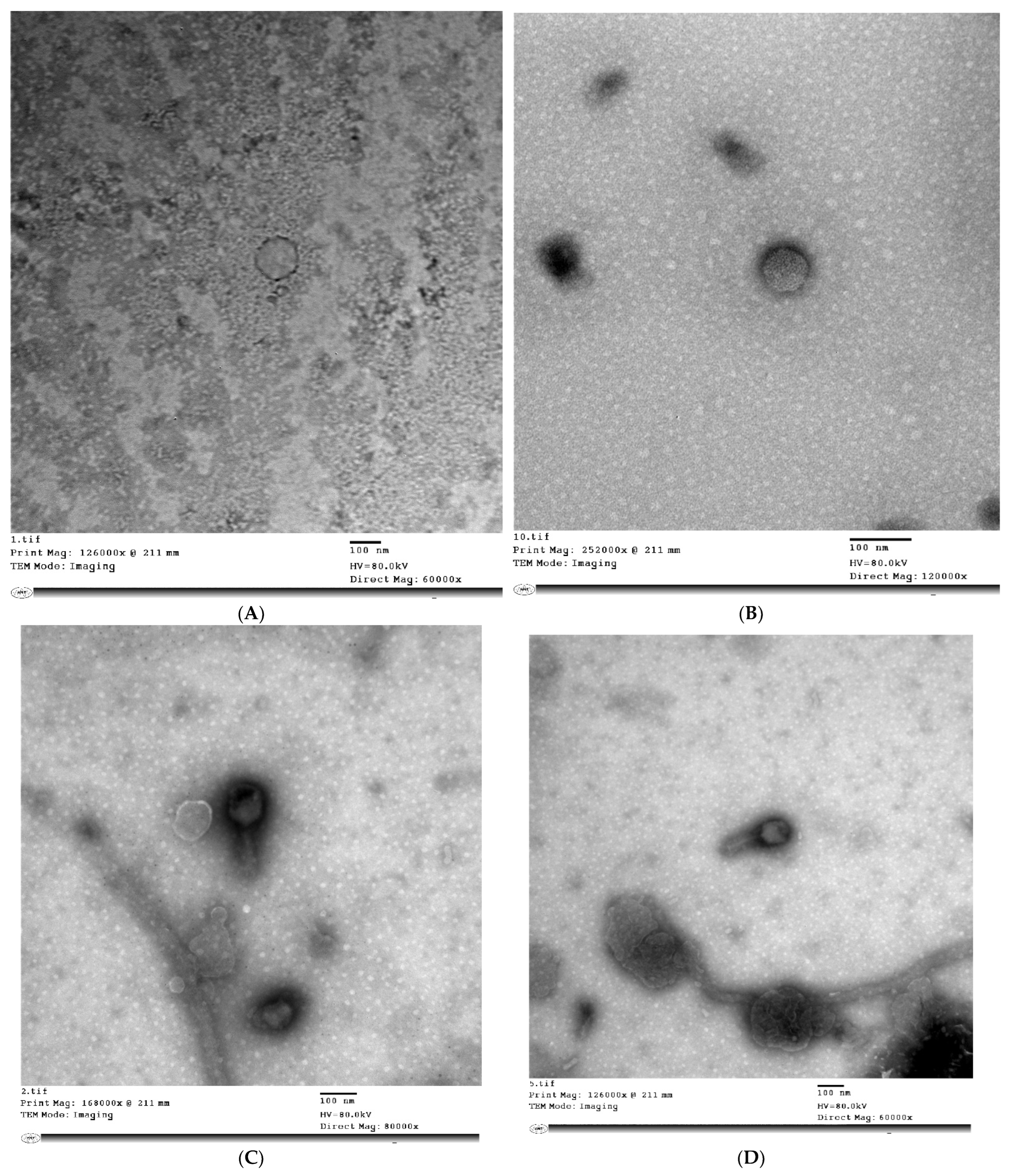 Biology 11 01180 g001a
