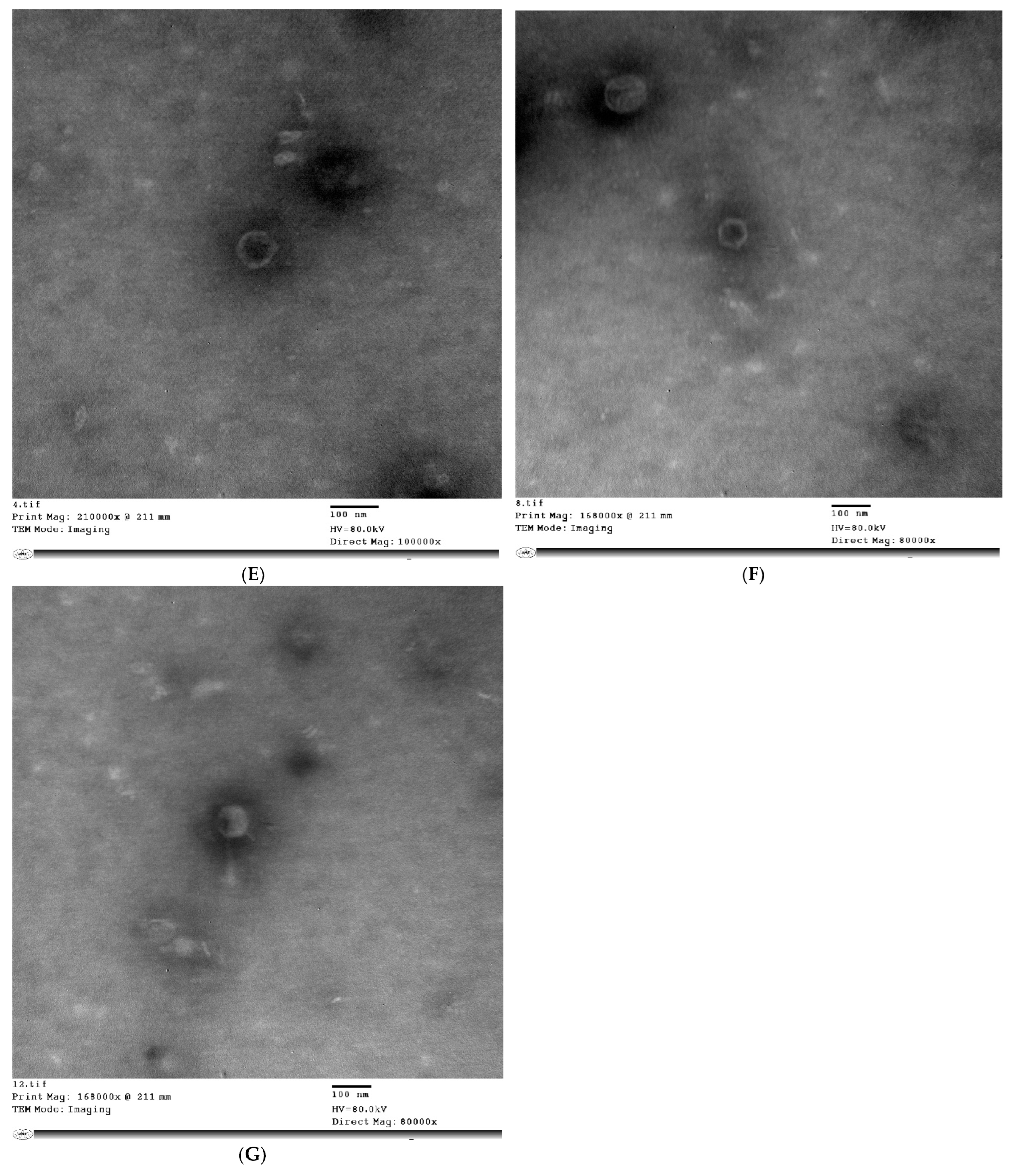 Biology 11 01180 g001b