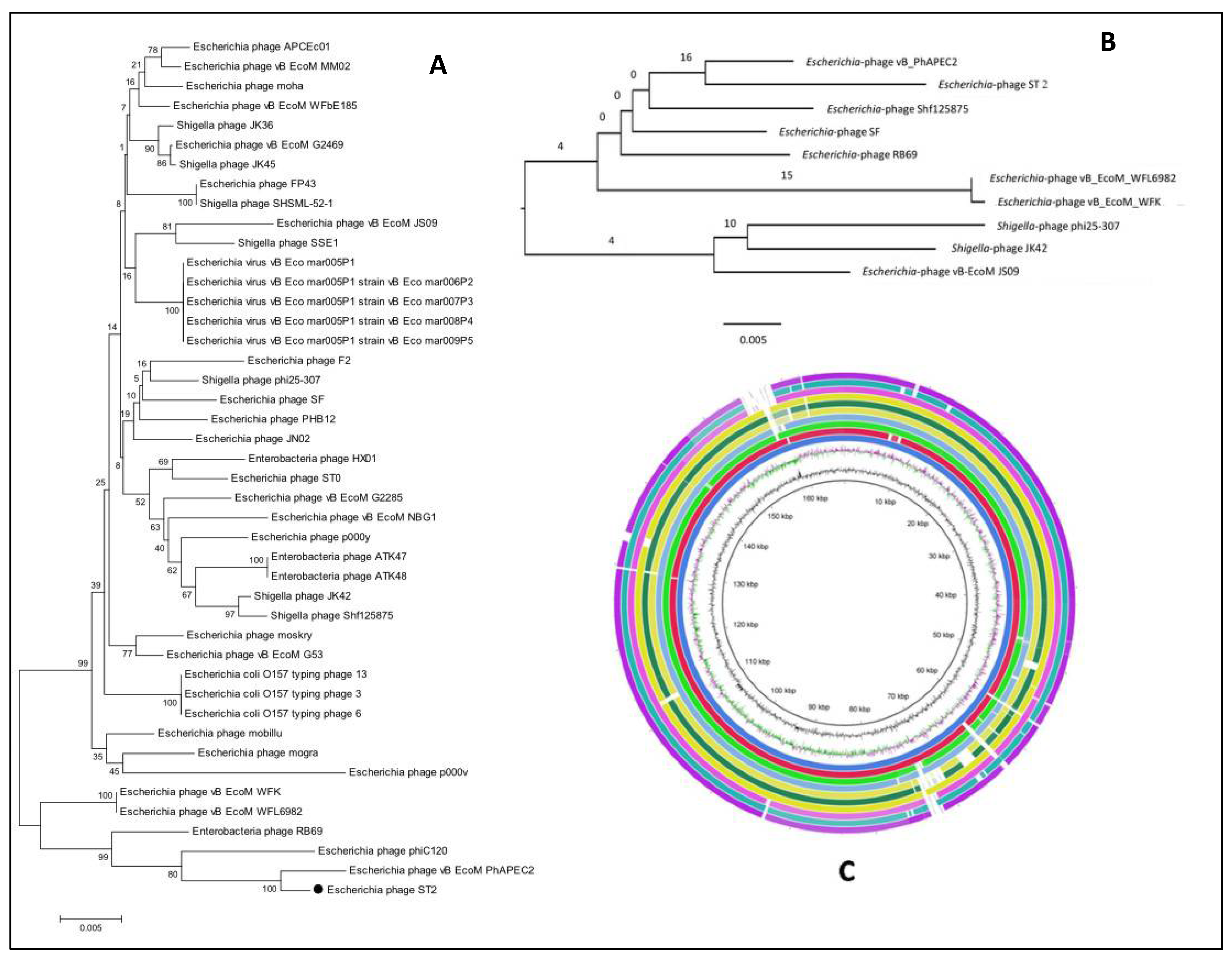 Biology 11 01180 g010