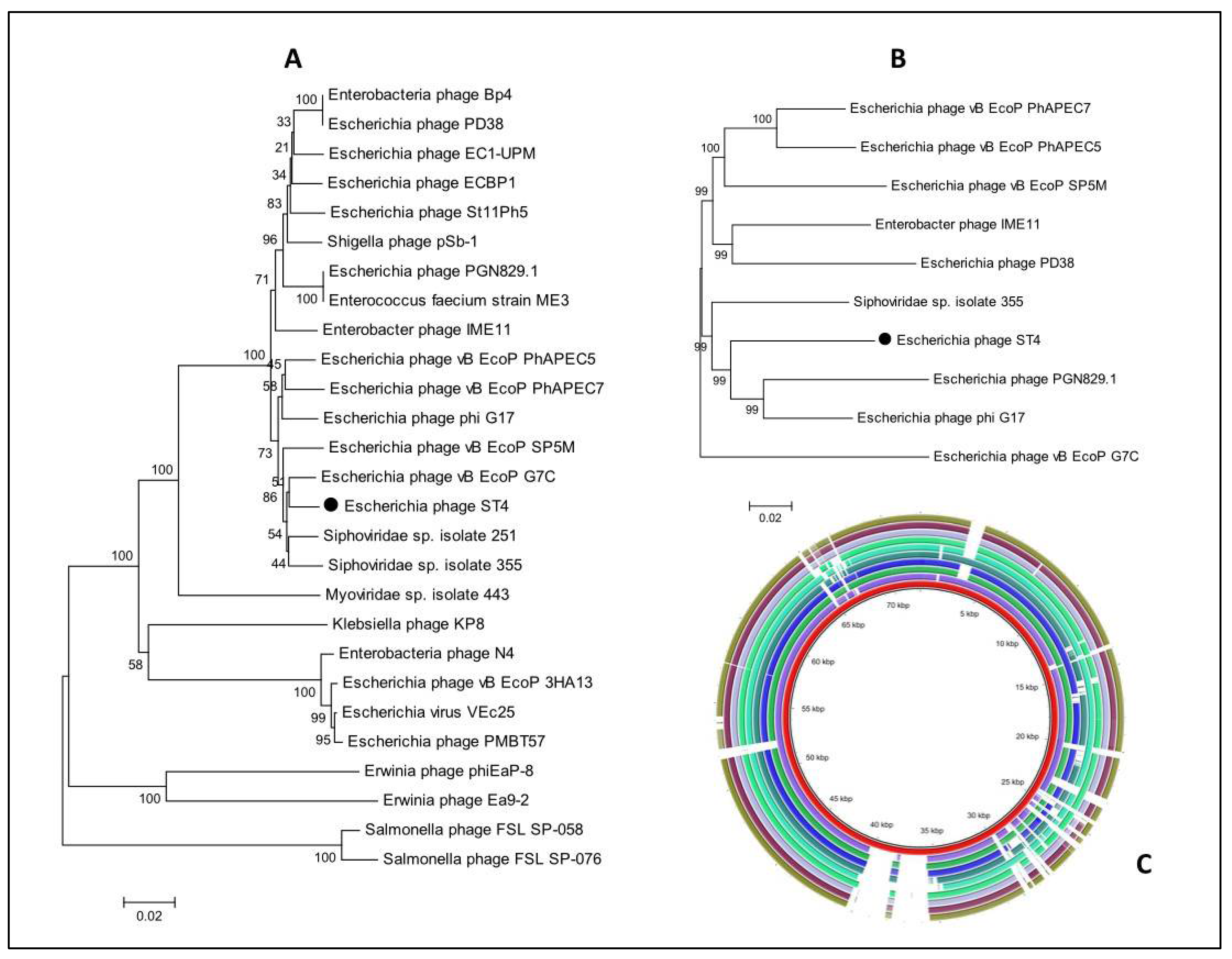 Biology 11 01180 g011