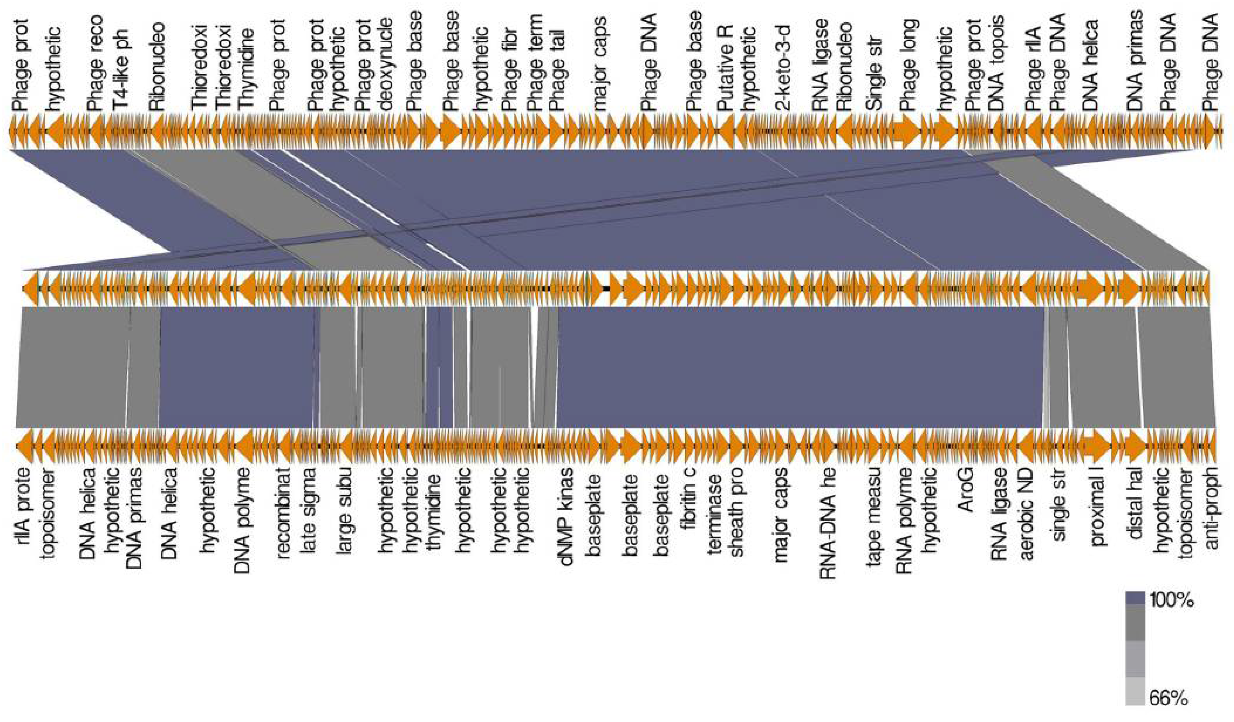 Biology 11 01180 g012