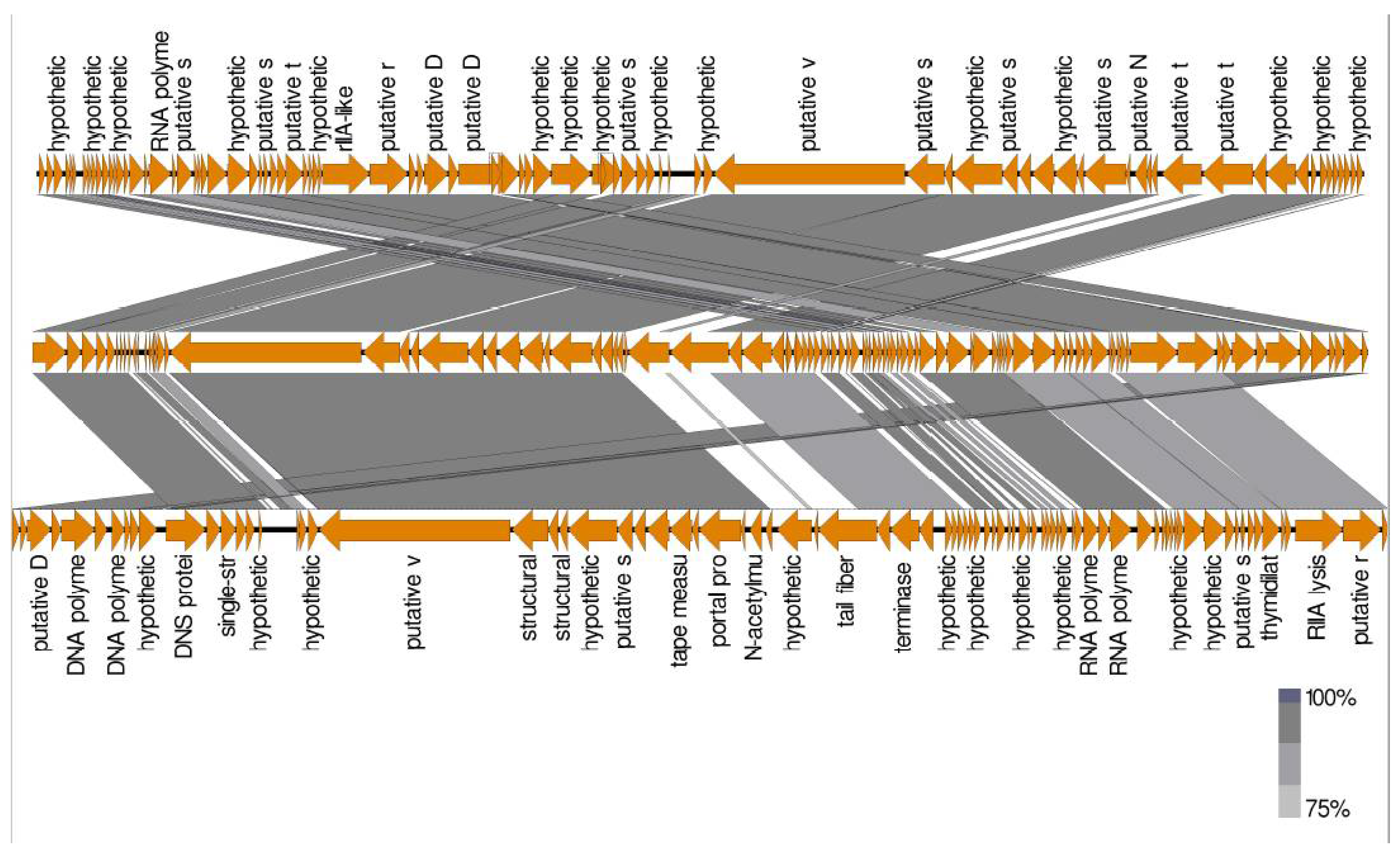 Biology 11 01180 g013