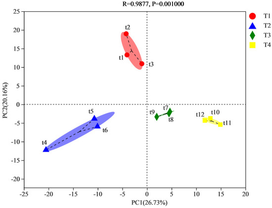 Succession of the Bacterial Communities and Functional