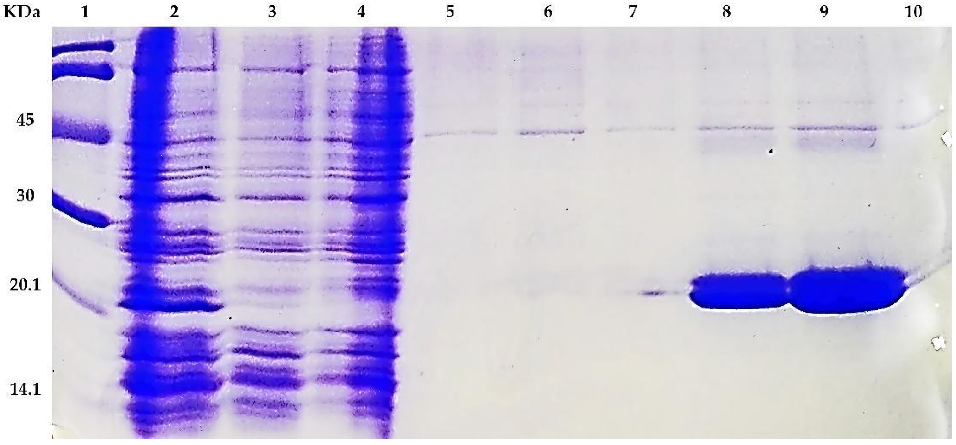 Biology 11 01183 g004 Biology 11 01183 g004