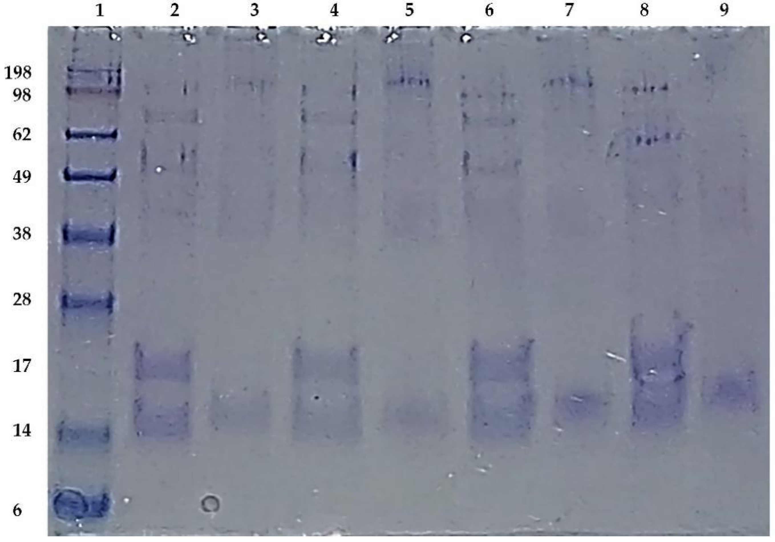 Biology 11 01183 g005 Biology 11 01183 g005