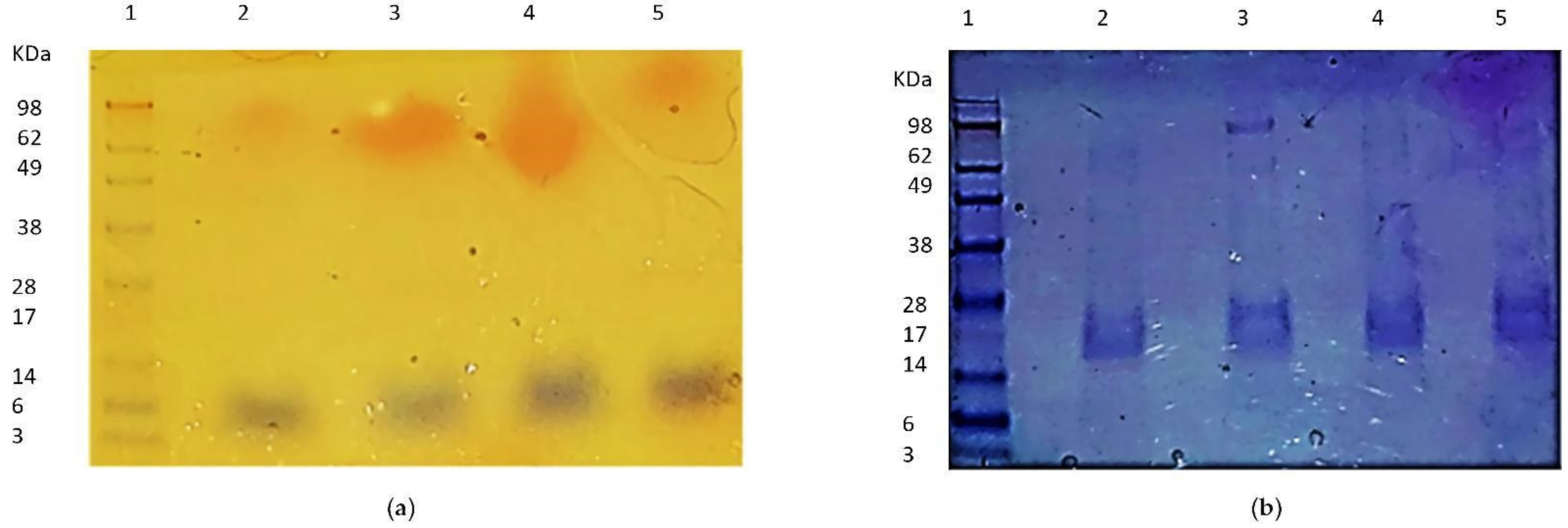 Biology 11 01183 g007 Biology 11 01183 g007