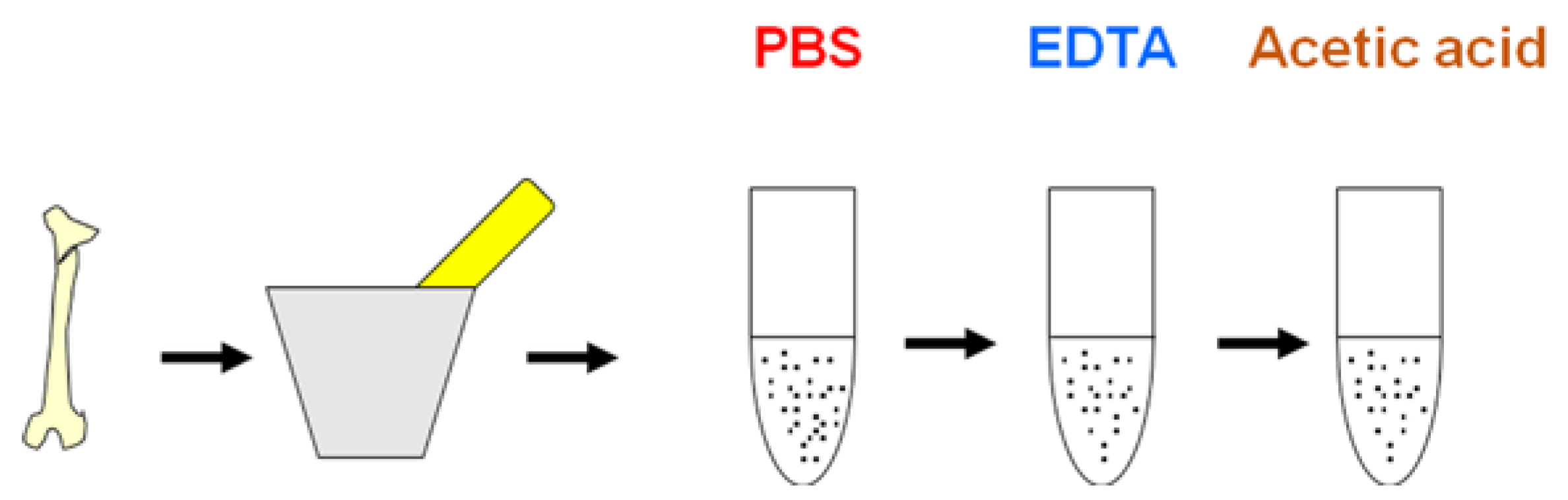 Biology 11 01184 g001