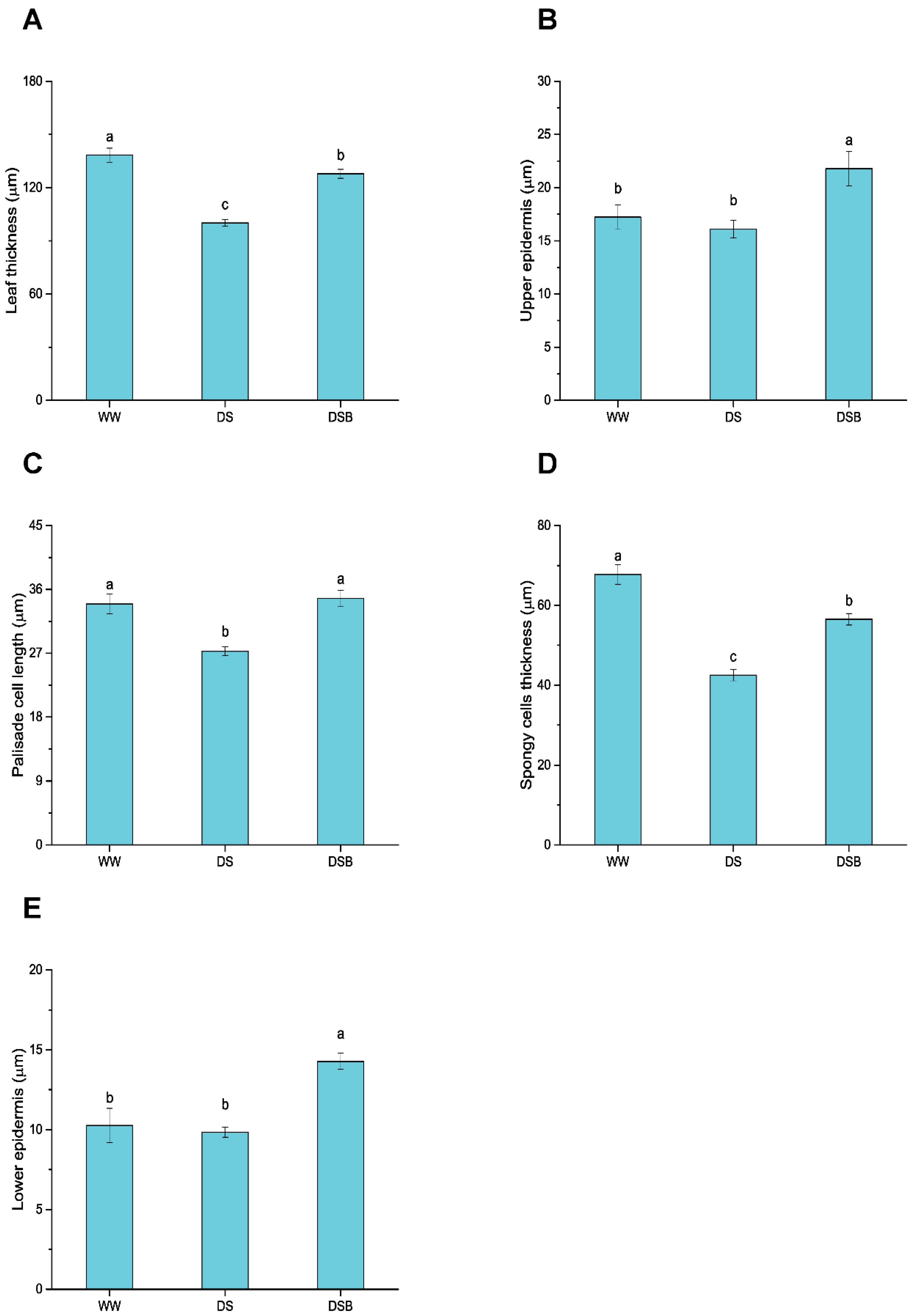 Biology 11 01192 g002