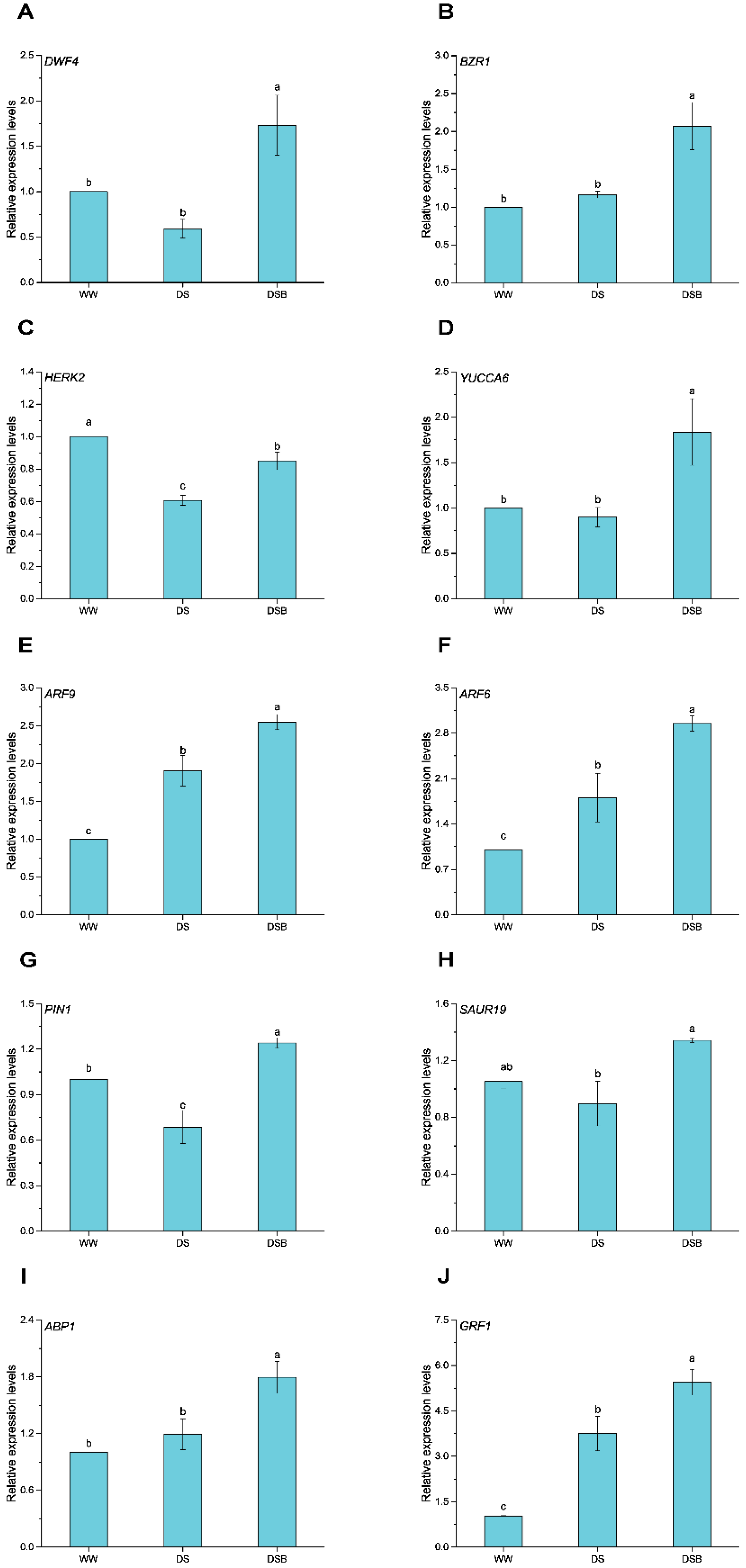 Biology 11 01192 g003