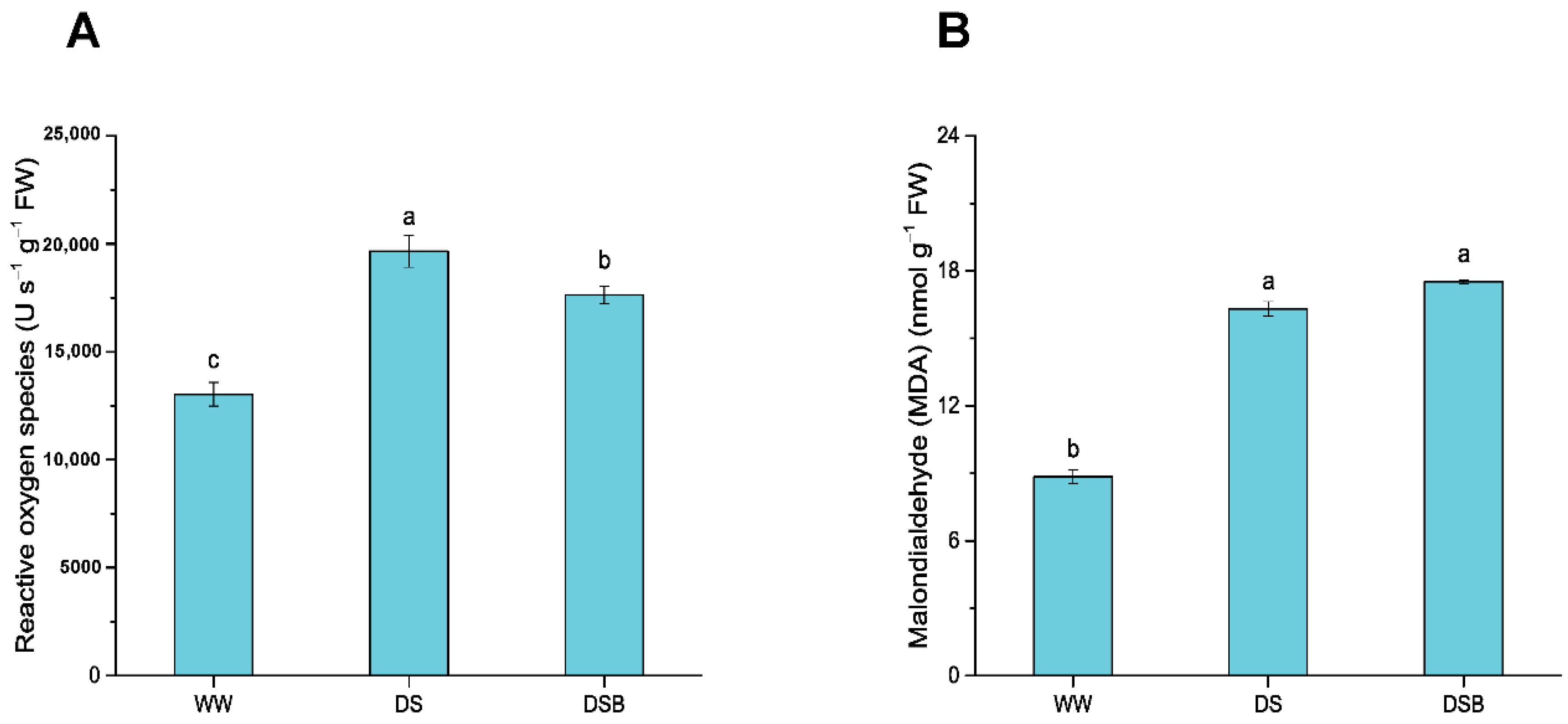Biology 11 01192 g004
