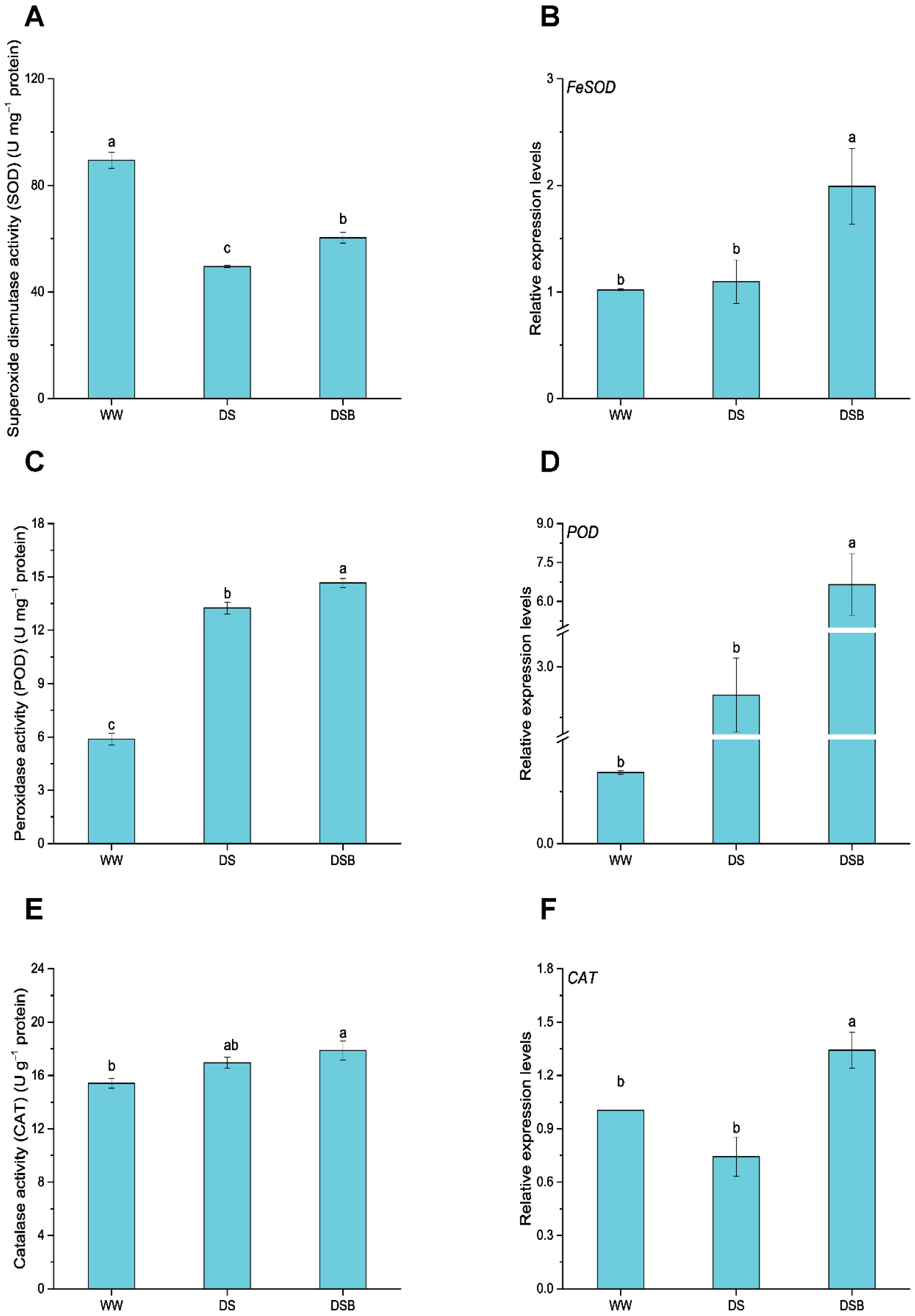 Biology 11 01192 g005