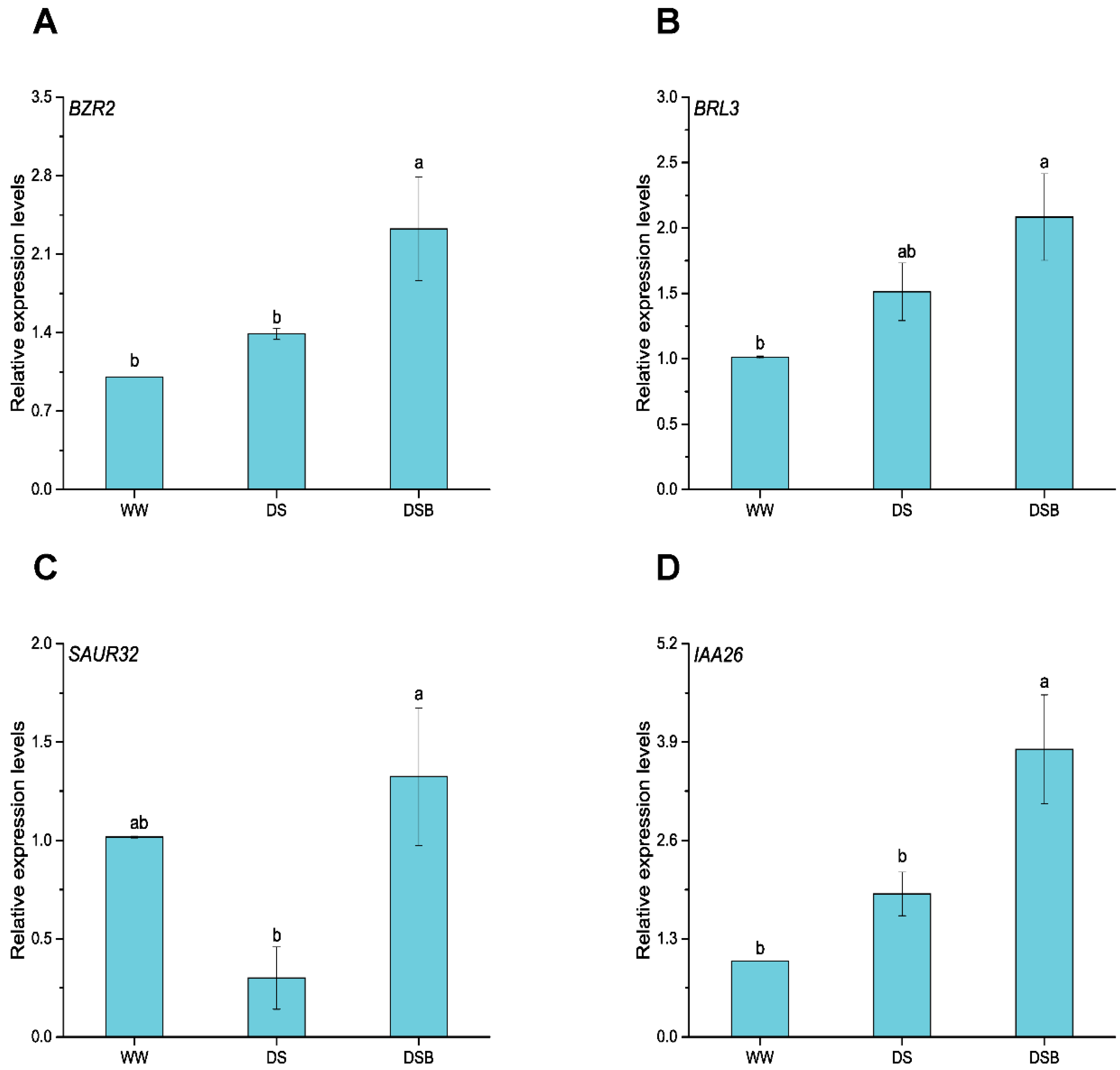 Biology 11 01192 g008