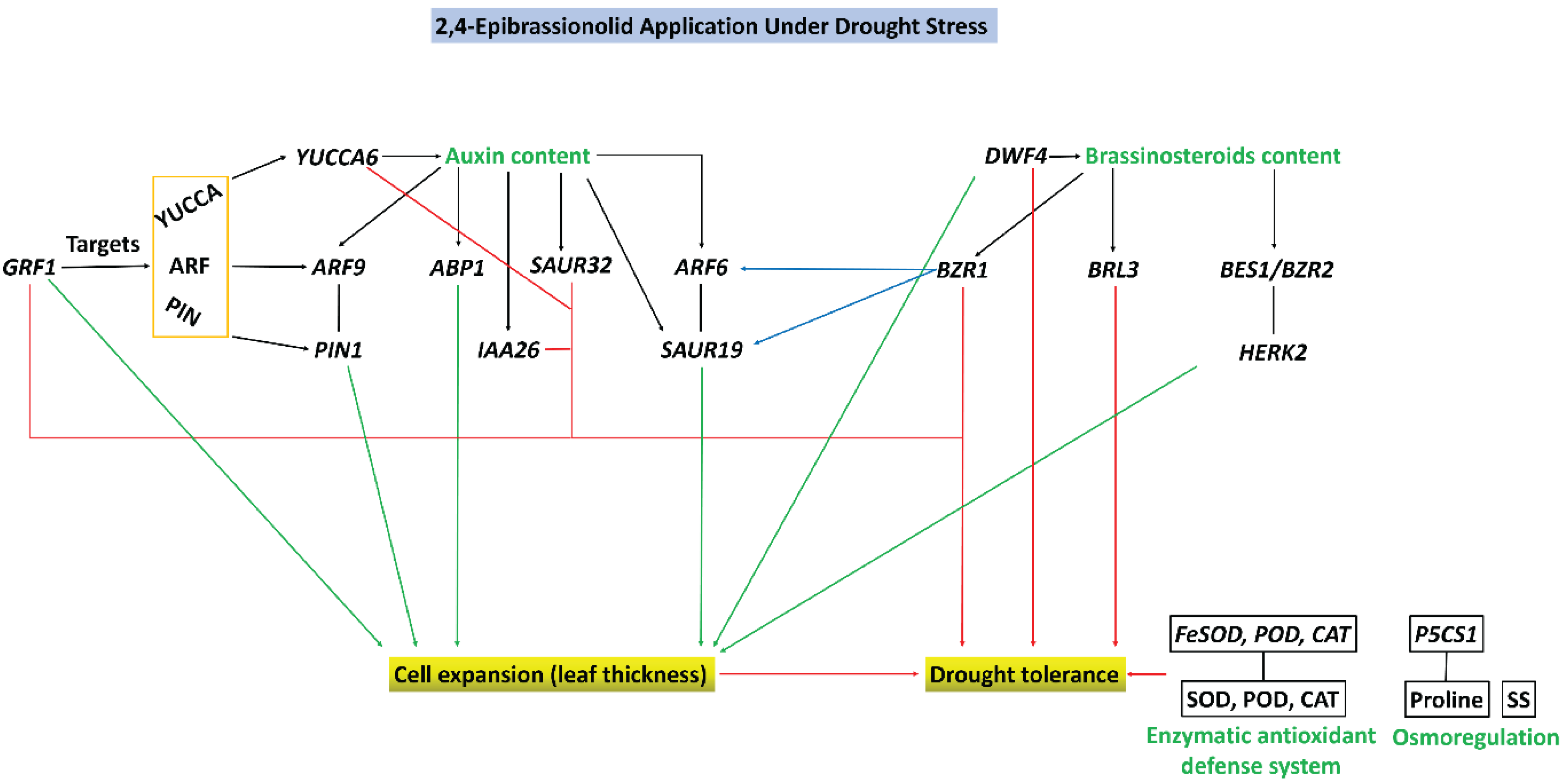 Biology 11 01192 g009