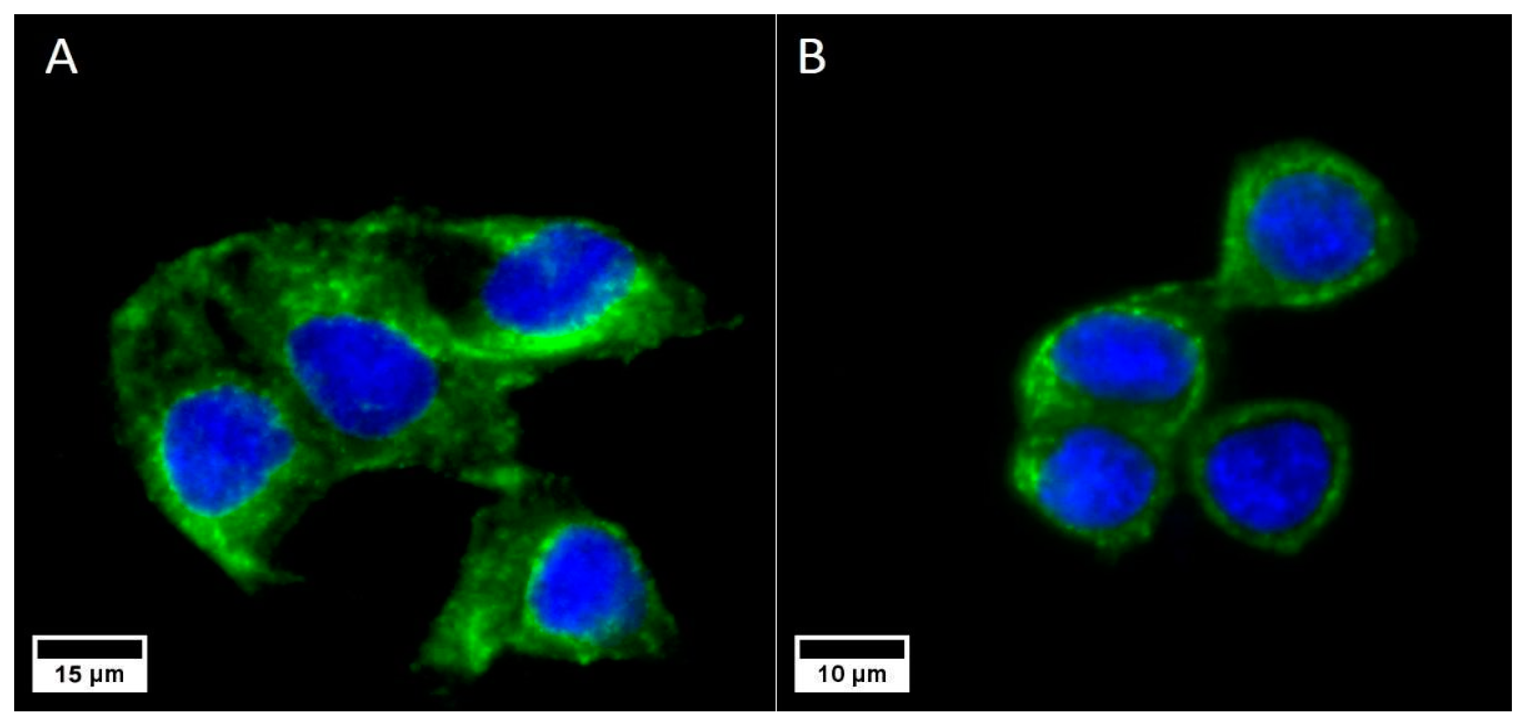 Biology 11 01193 g001 Biology 11 01193 g001
