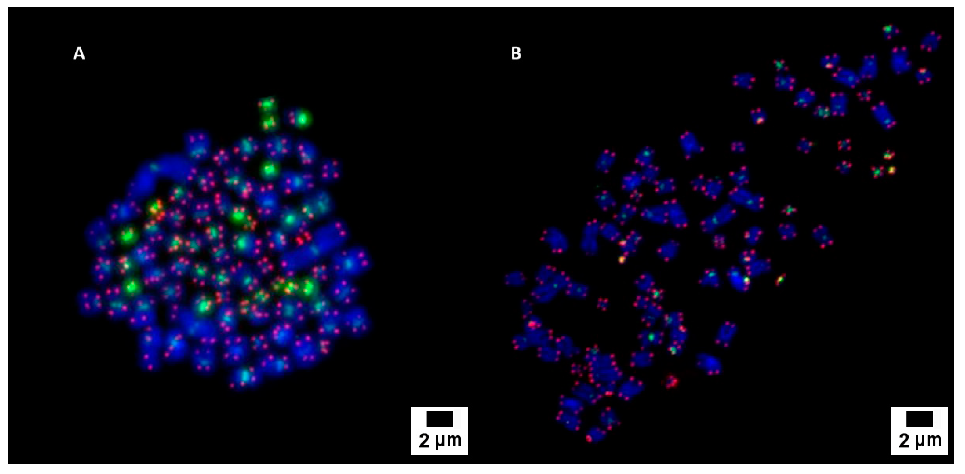 Biology 11 01193 g002 Biology 11 01193 g002
