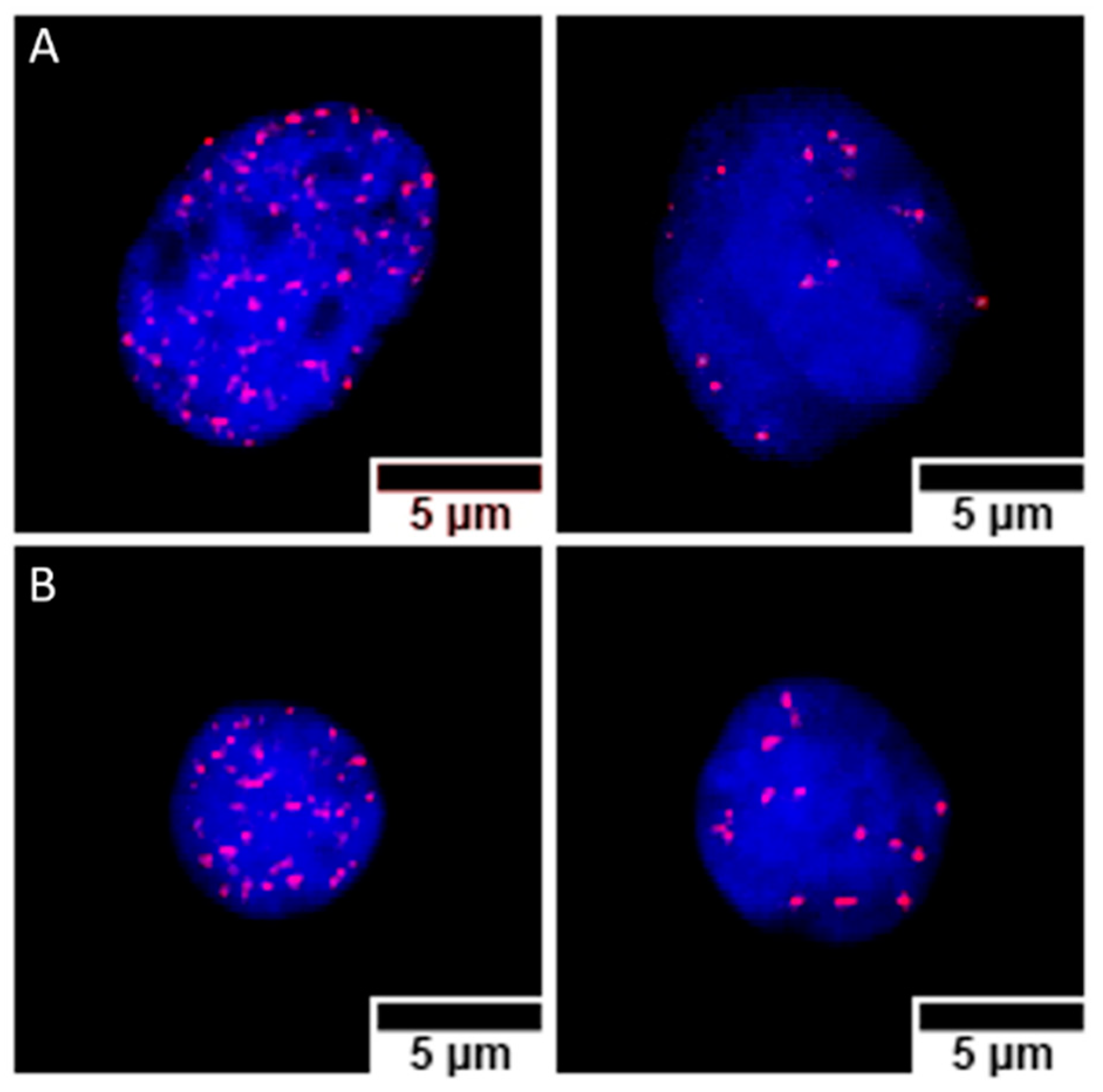Biology 11 01193 g007 Biology 11 01193 g007