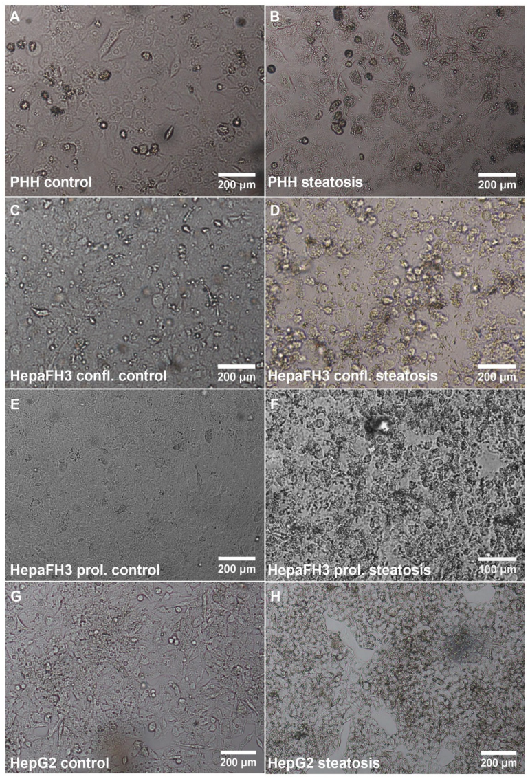 Biology 11 01195 g001 550