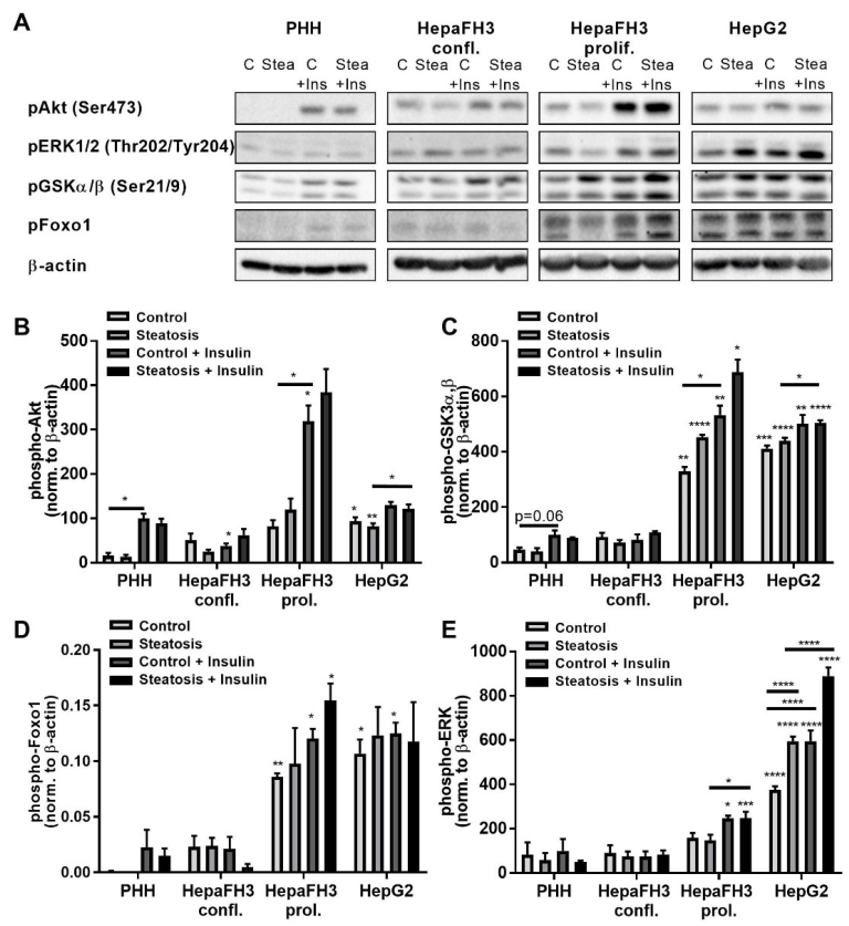 Biology 11 01195 g005 550
