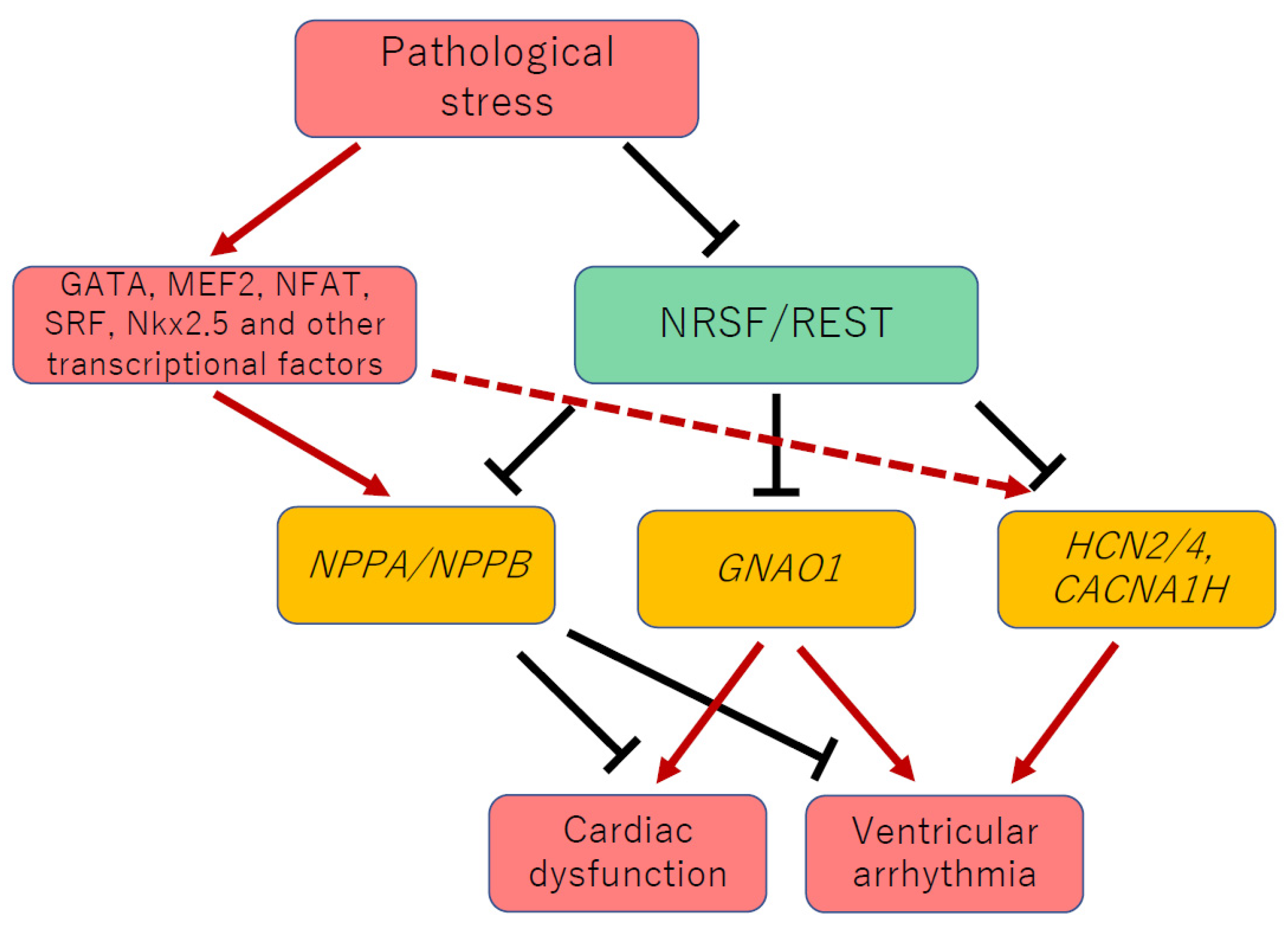 Biology 11 01197 g001 Biology 11 01197 g001