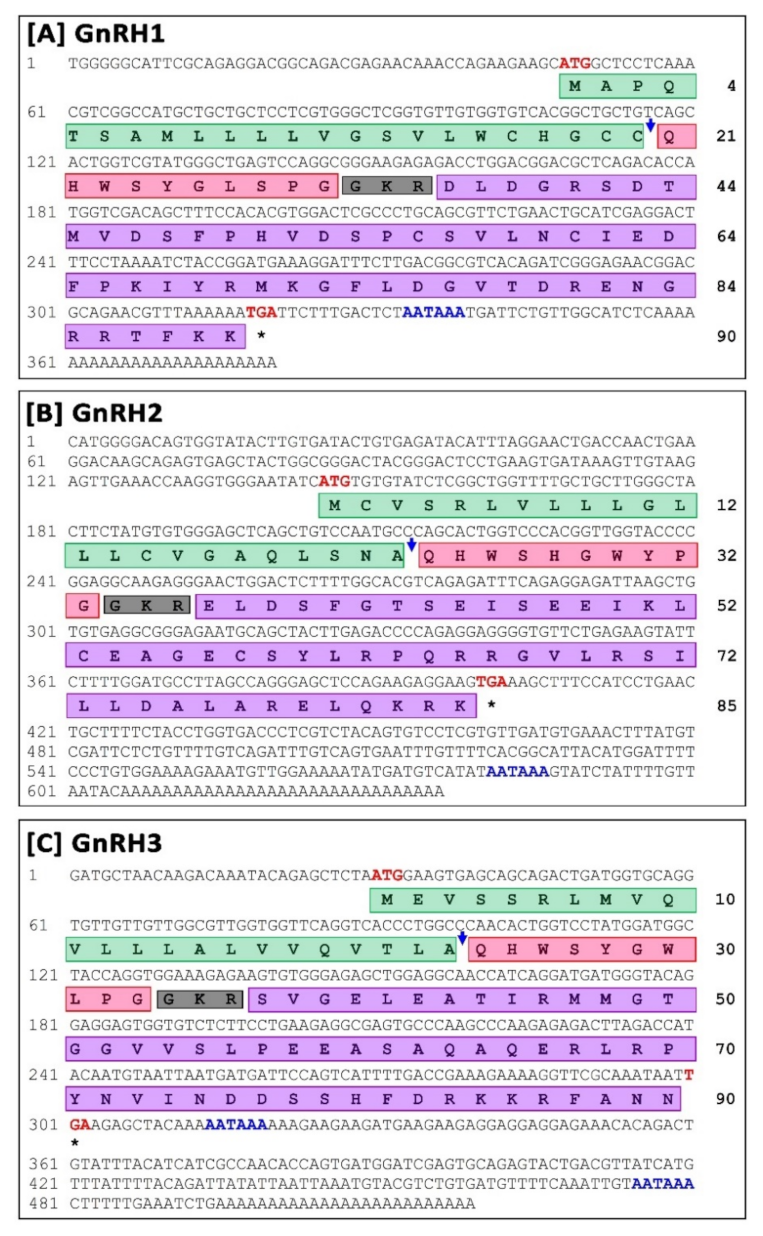 Biology 11 01200 g001 Biology 11 01200 g001