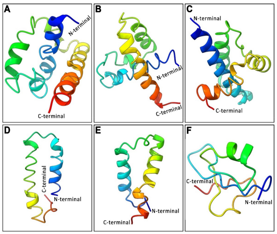 Biology 11 01200 g003 Biology 11 01200 g003