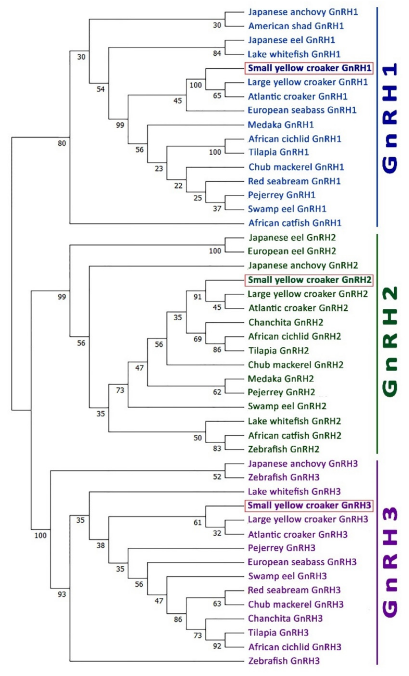 Biology 11 01200 g004 Biology 11 01200 g004
