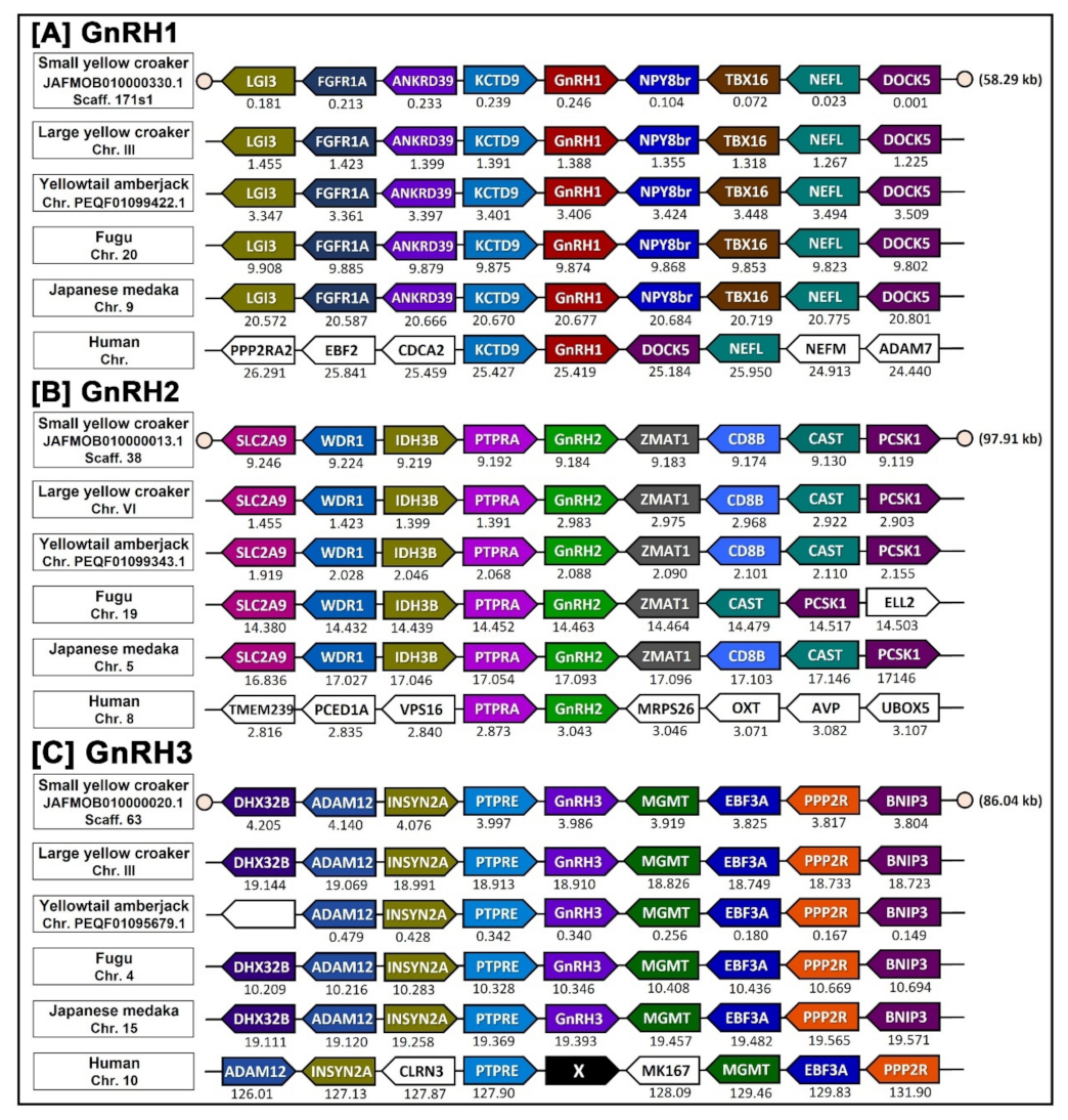 Biology 11 01200 g005 Biology 11 01200 g005