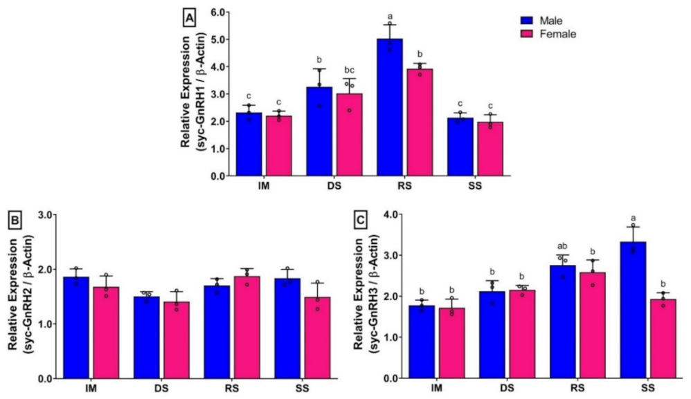 Biology 11 01200 g007 Biology 11 01200 g007
