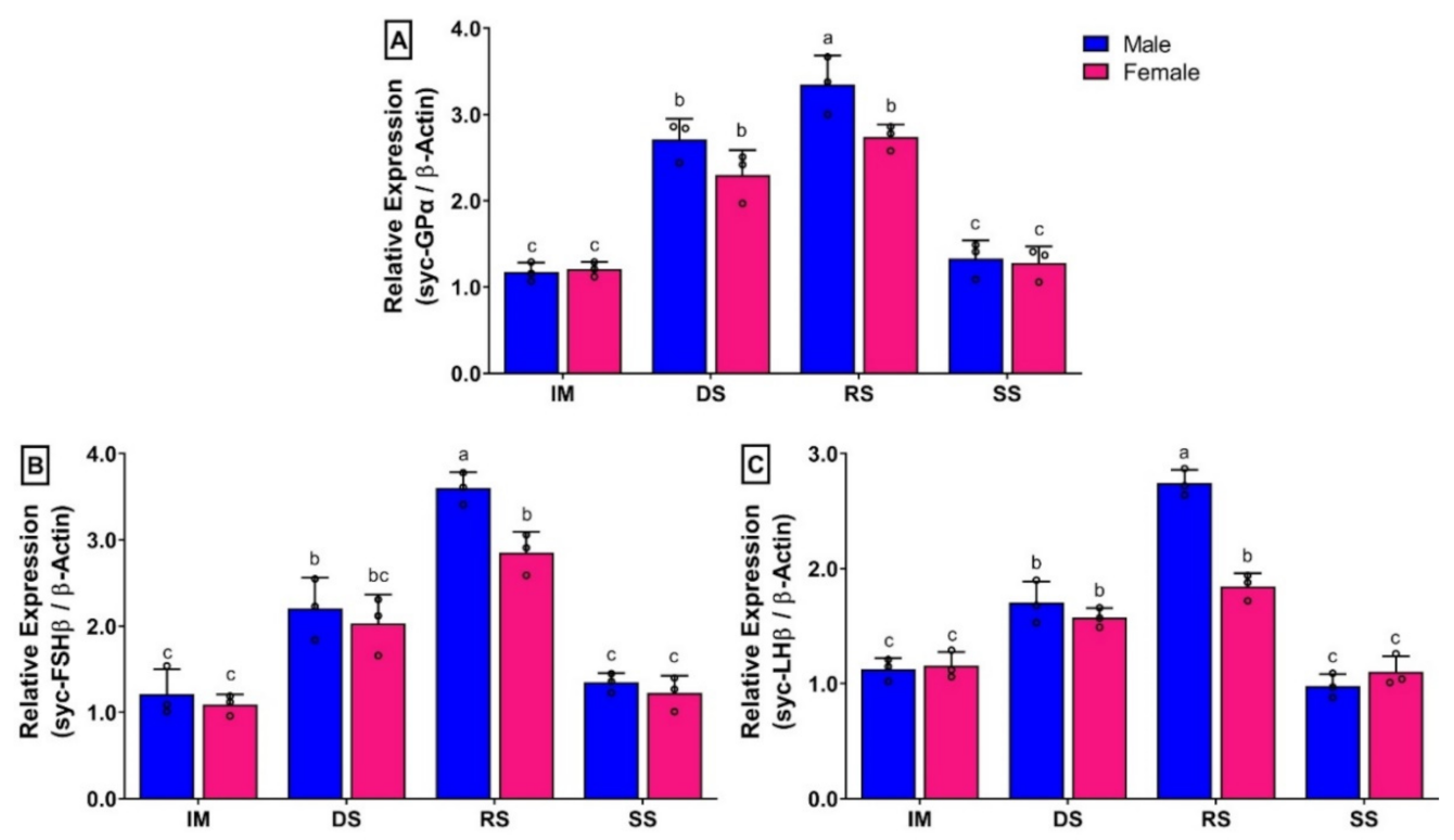 Biology 11 01200 g008 Biology 11 01200 g008