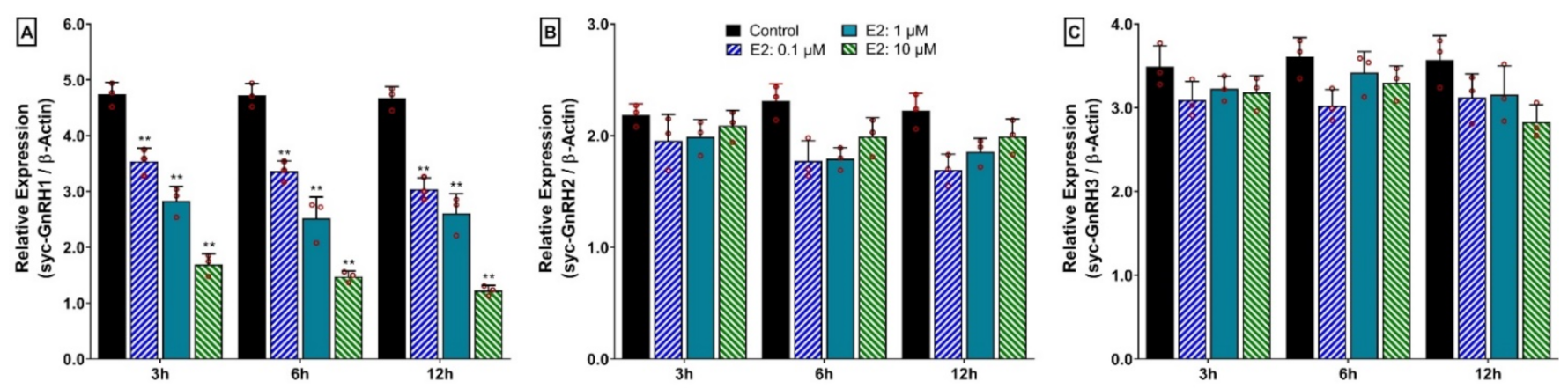Biology 11 01200 g012 Biology 11 01200 g012