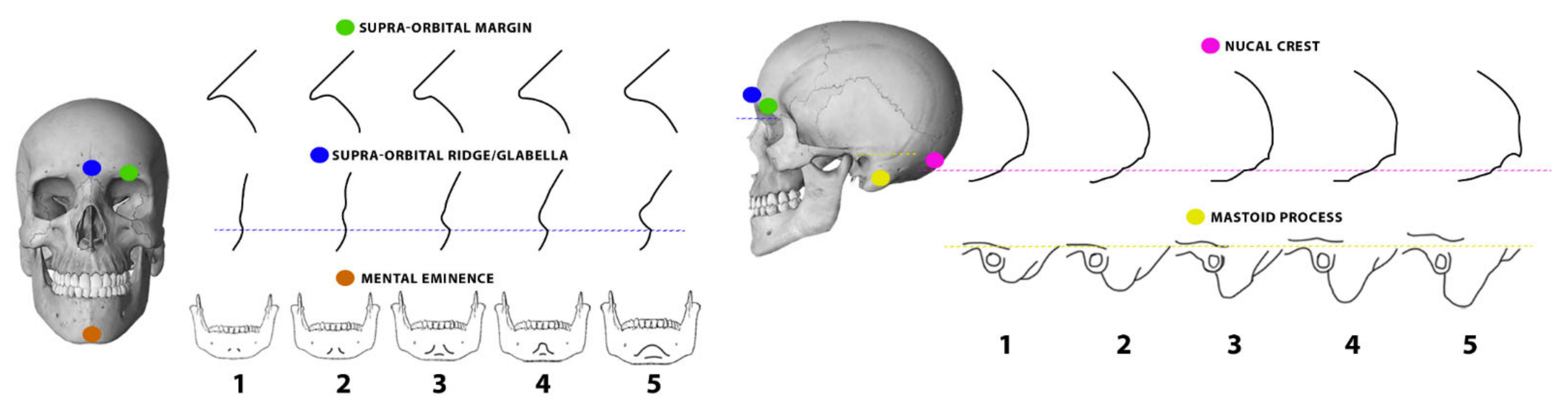 Biology 11 01202 g001