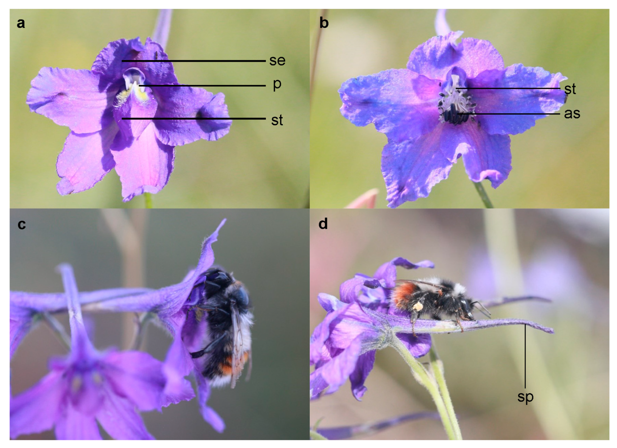 Biology 11 01203 g002