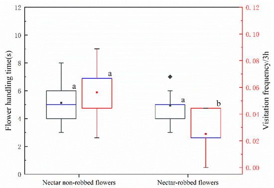 Frontiers | Transcriptome profiling of A549 non-small cell lung cancer  cells in response to Trichinella spiralis muscle larvae excretory/secretory  products