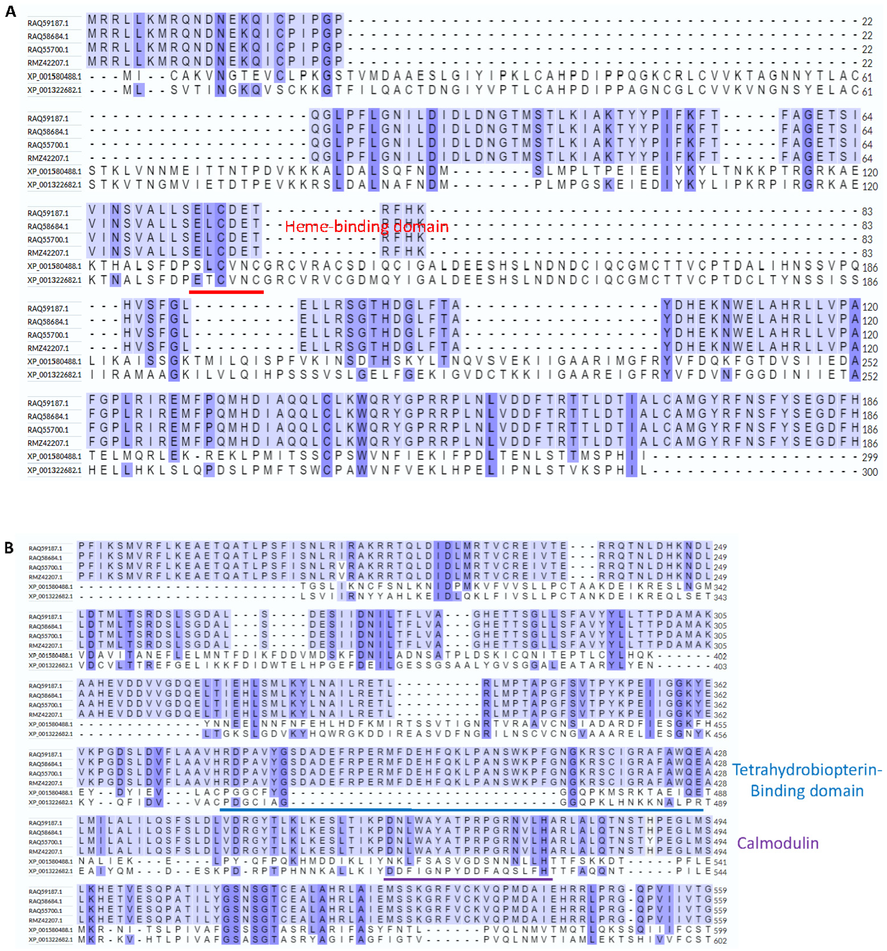 Biology 11 01210 g002a