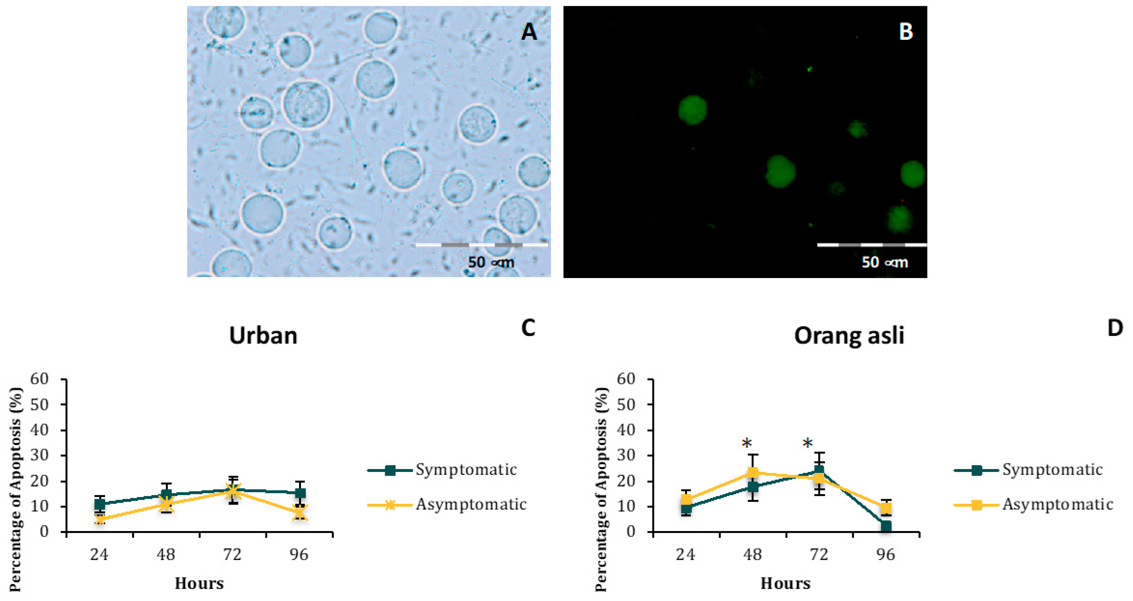 Biology 11 01211 g003