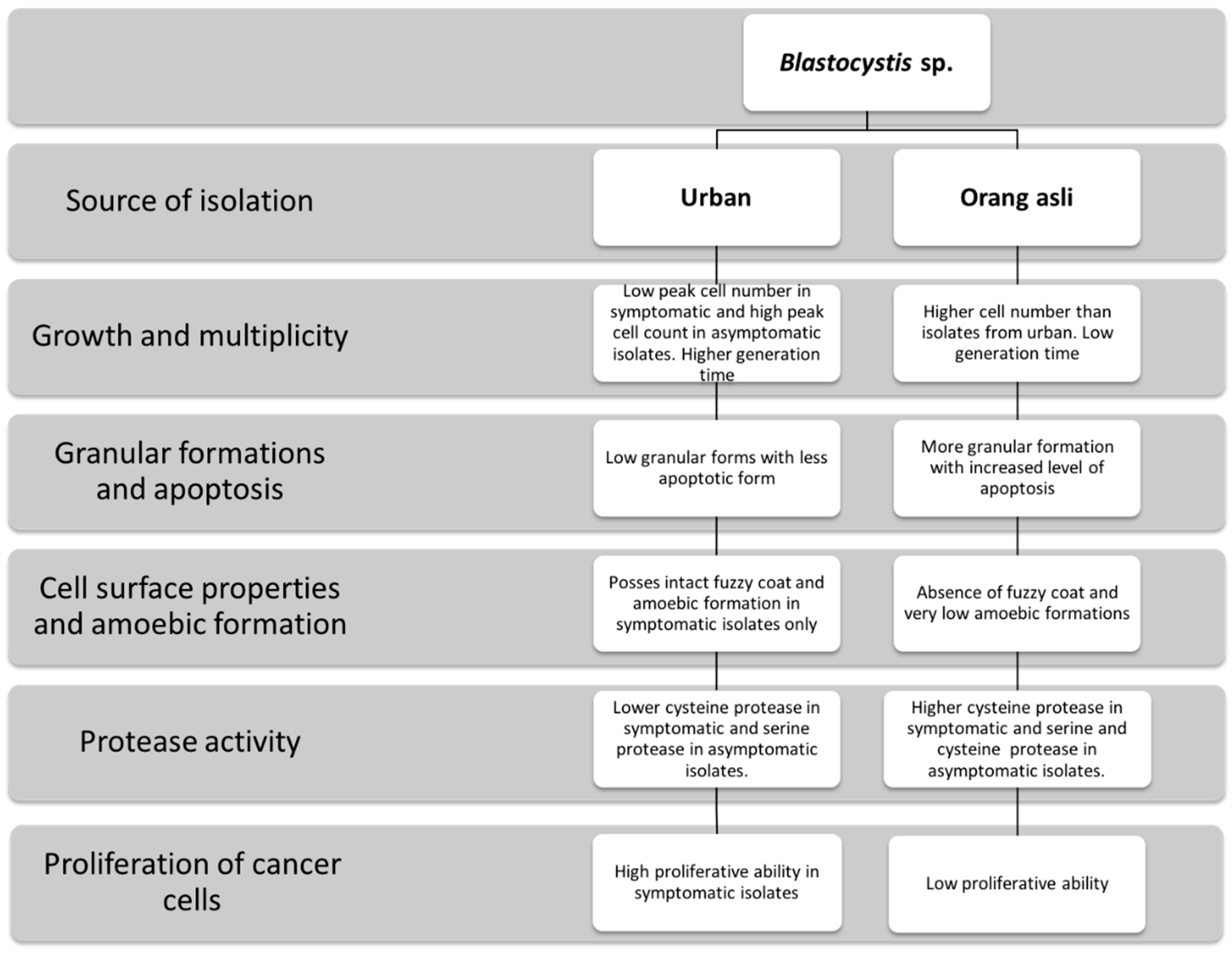 Biology 11 01211 g008