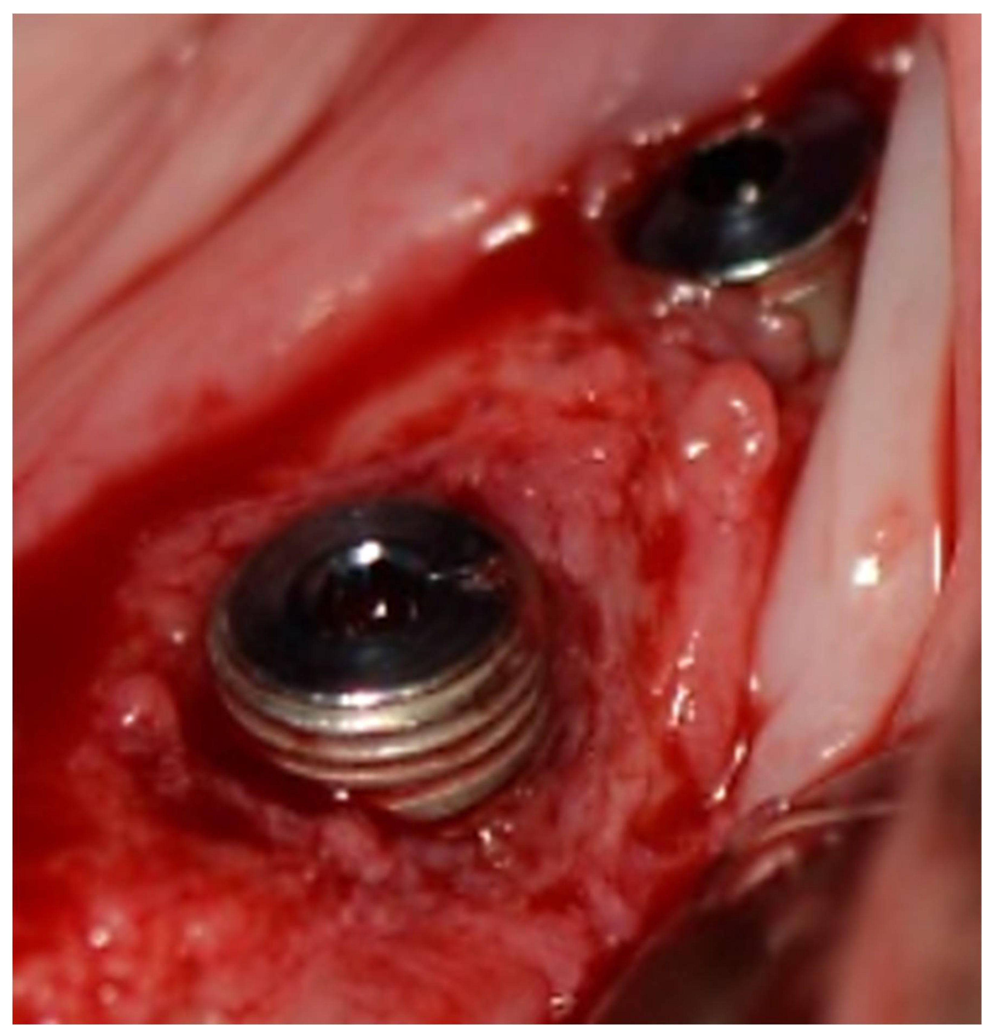 Biology 11 01213 g007 550