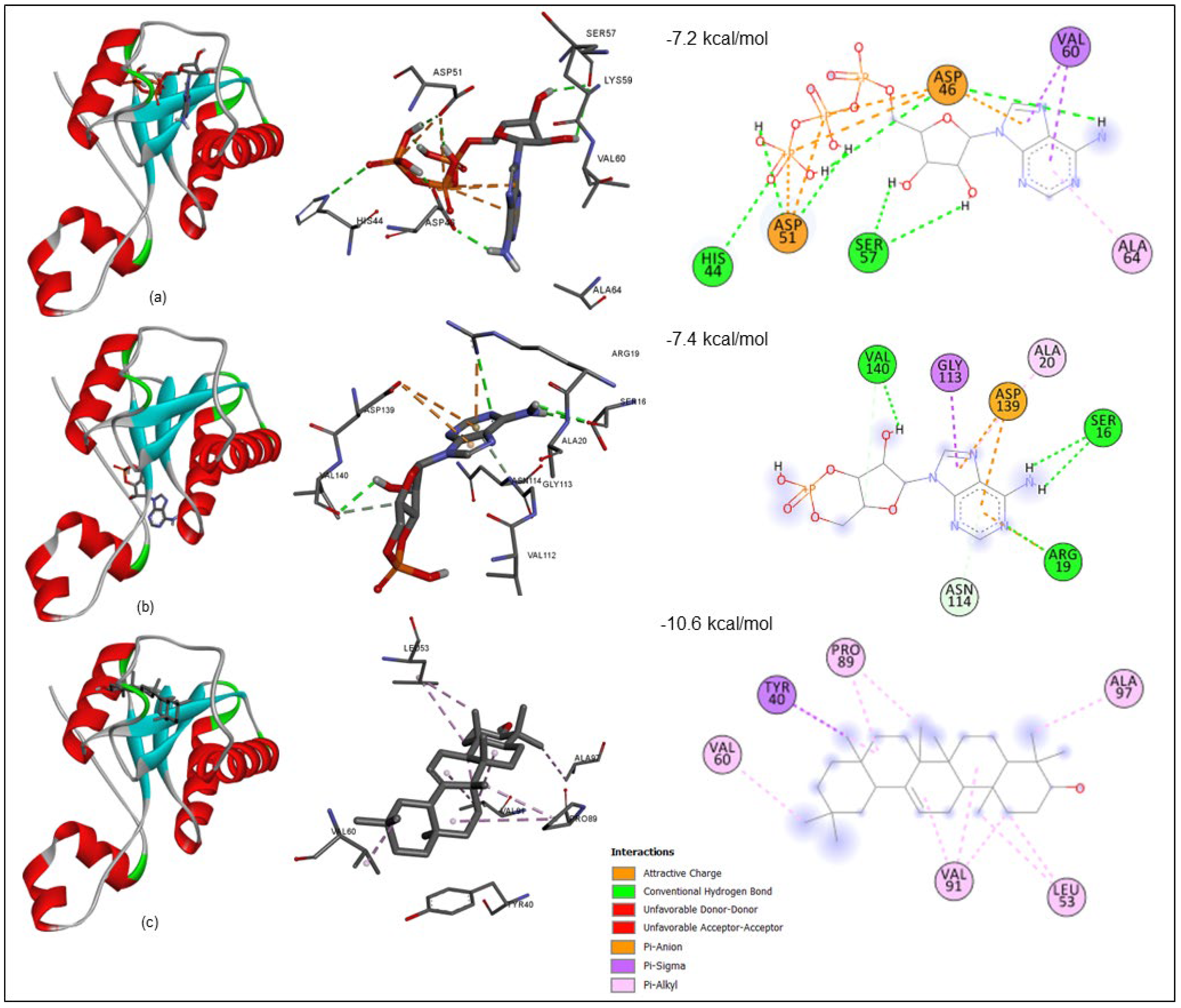 Biology 11 01214 g003 Biology 11 01214 g003