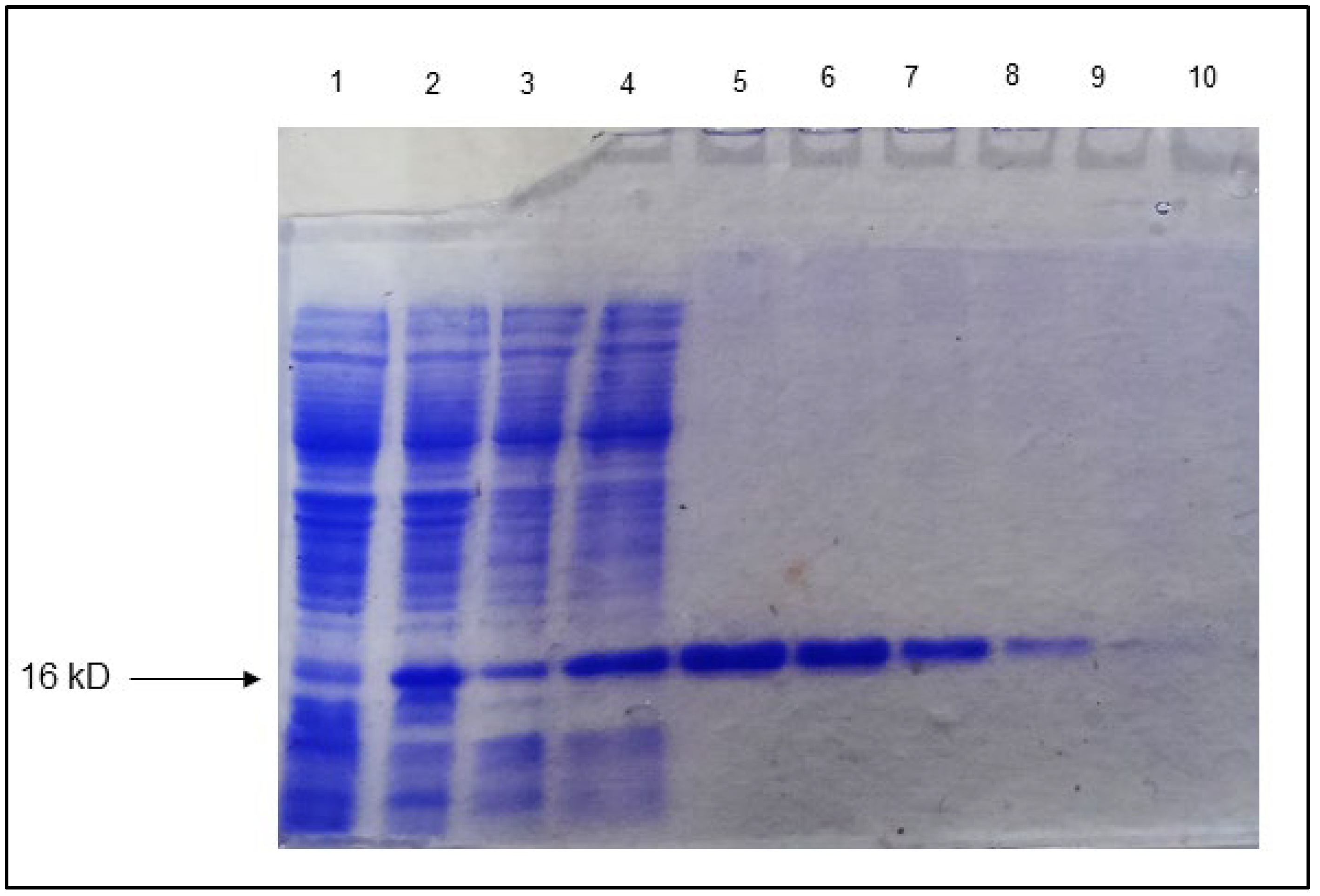 Biology 11 01214 g006 Biology 11 01214 g006