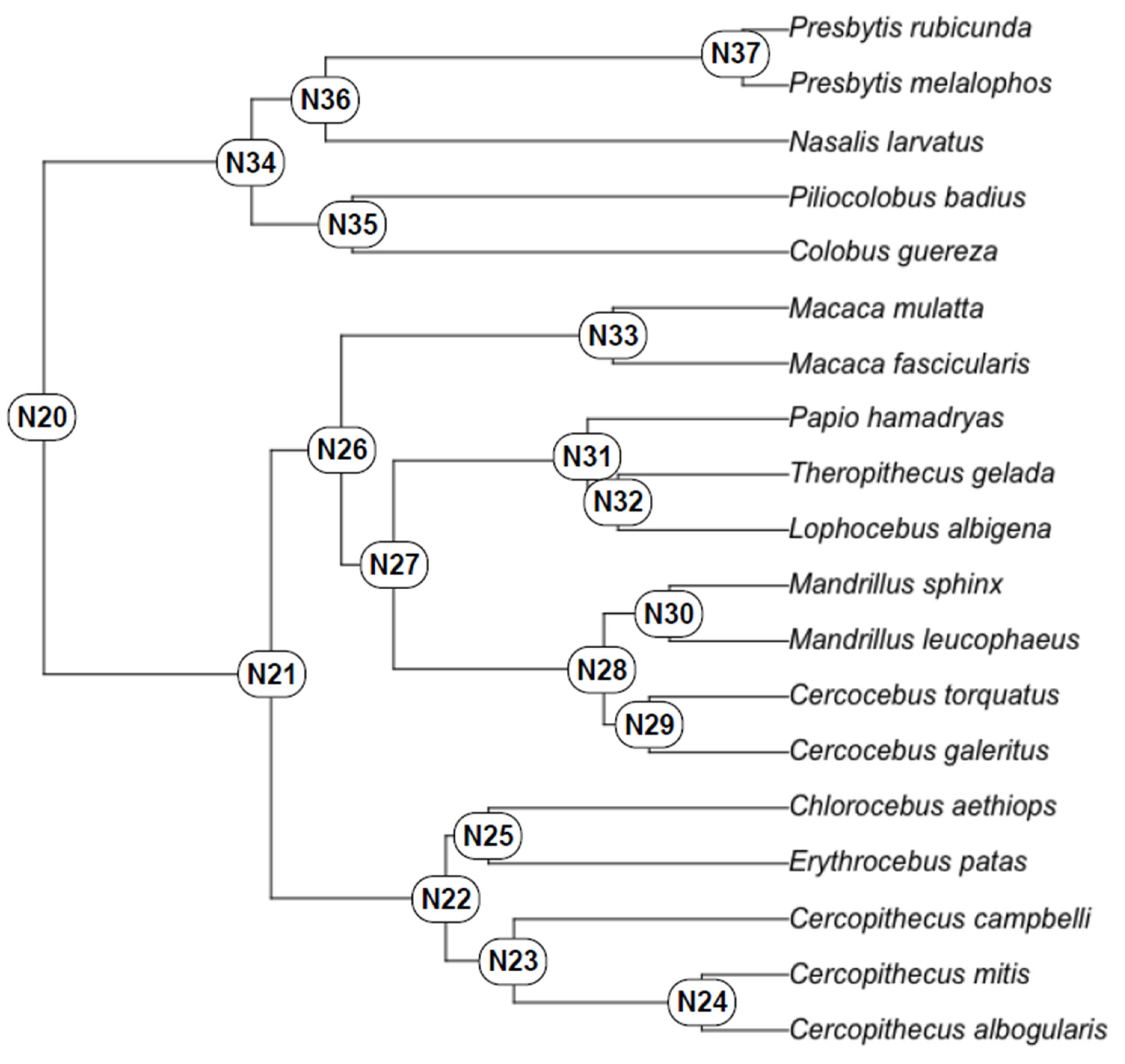 Biology 11 01218 g002 550