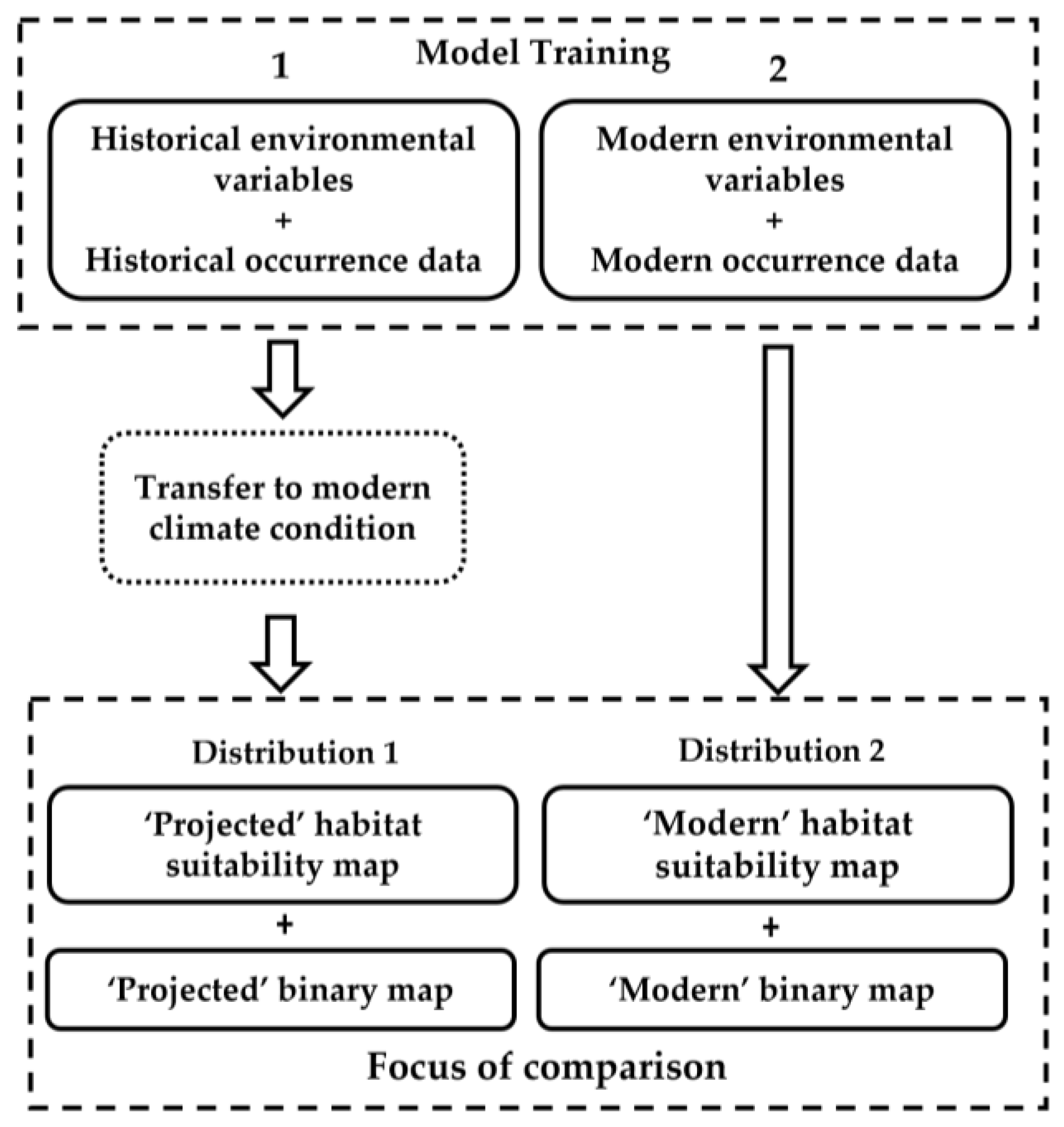 Biology 11 01219 g003