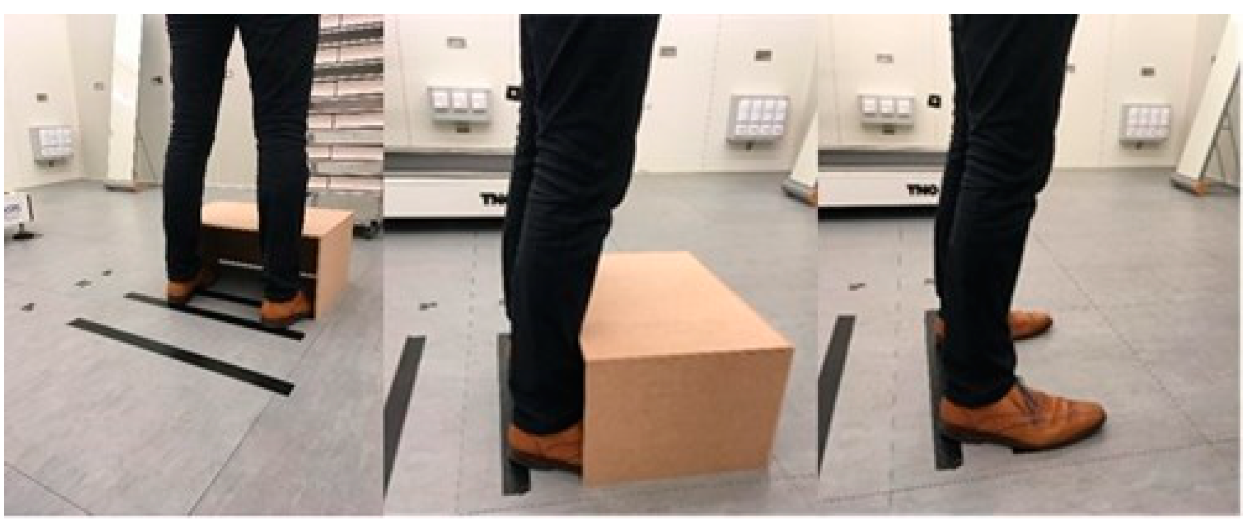 Biology 11 01222 g004 Biology 11 01222 g004