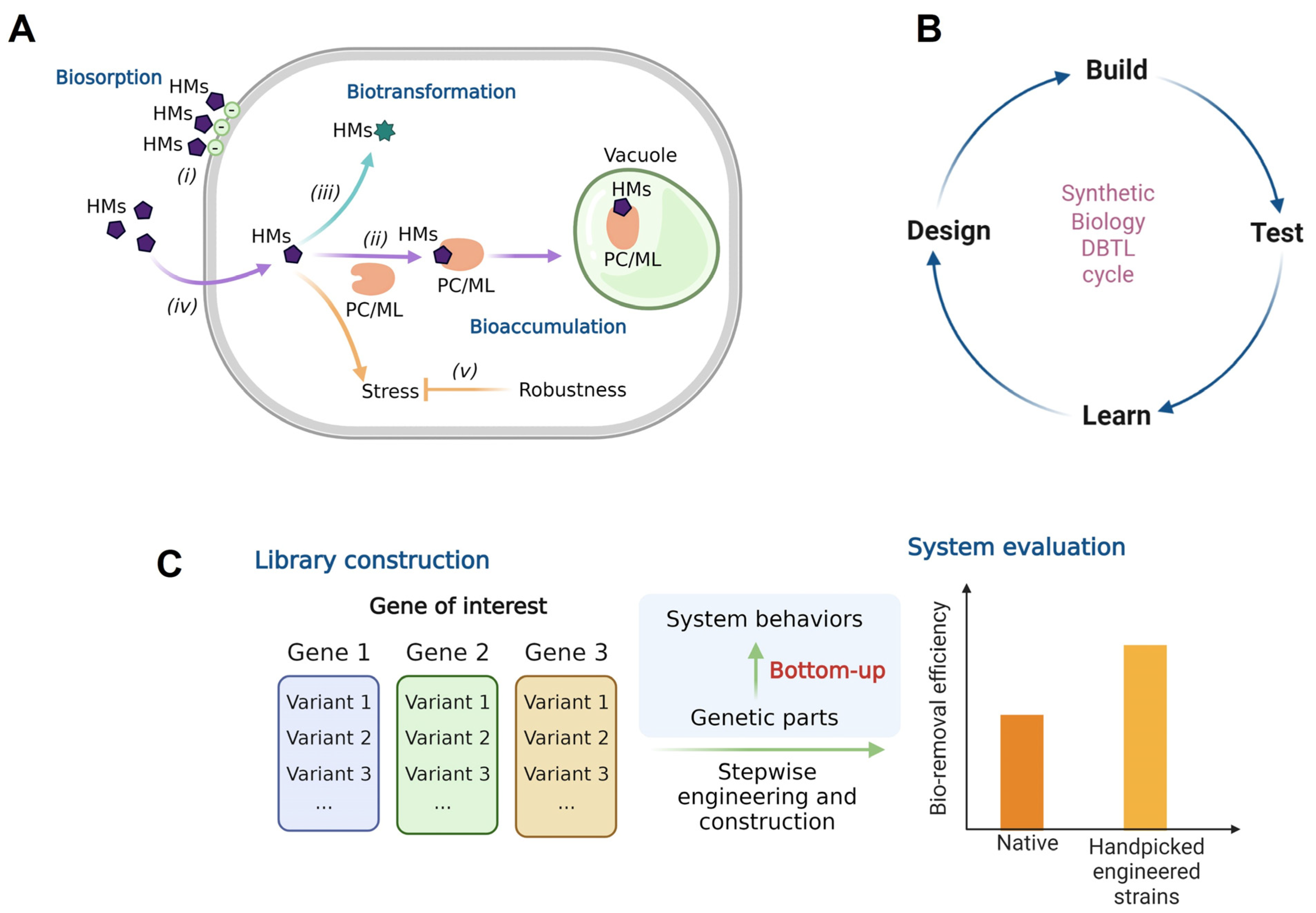 Biology 11 01226 g001