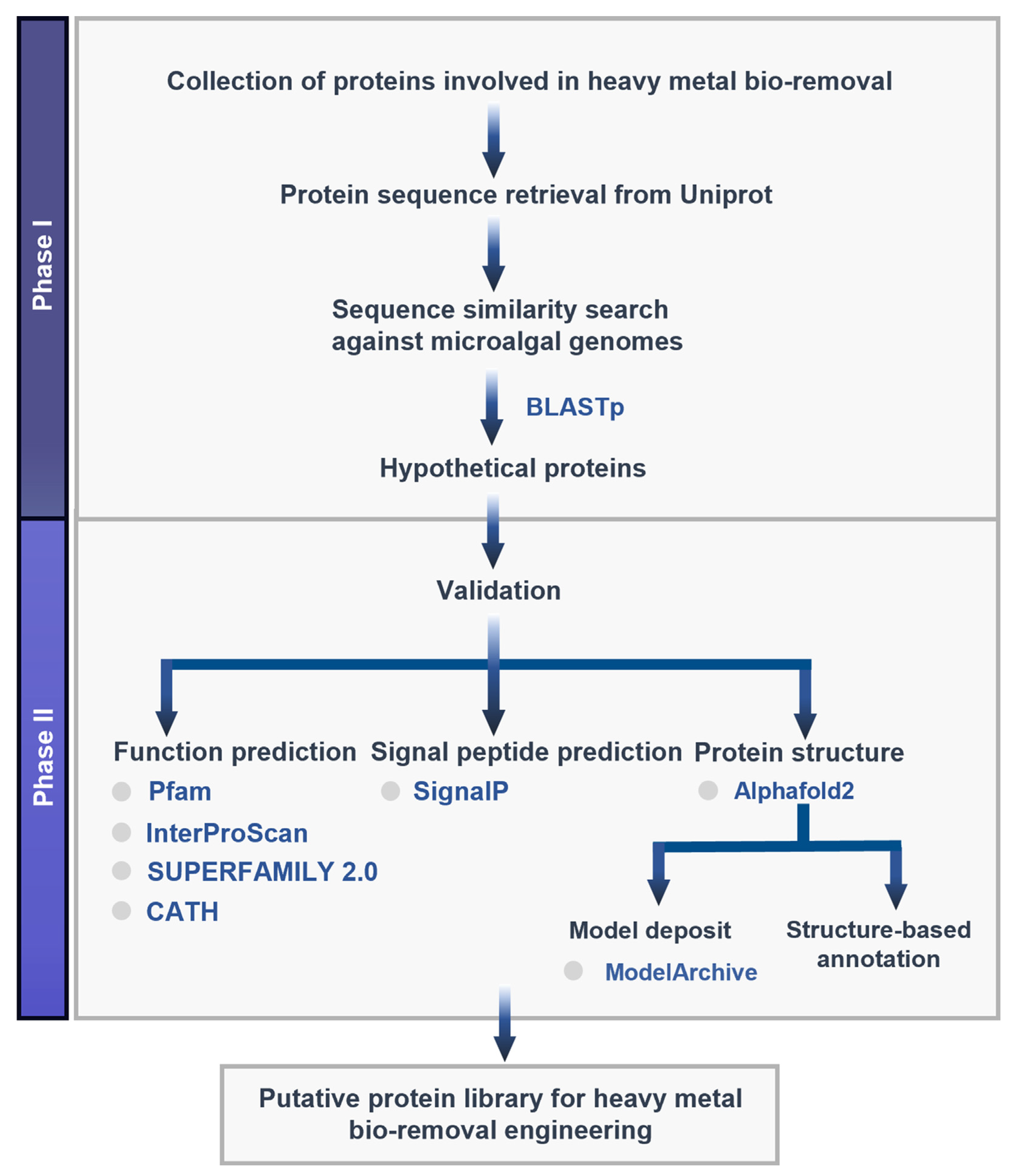 Biology 11 01226 g002