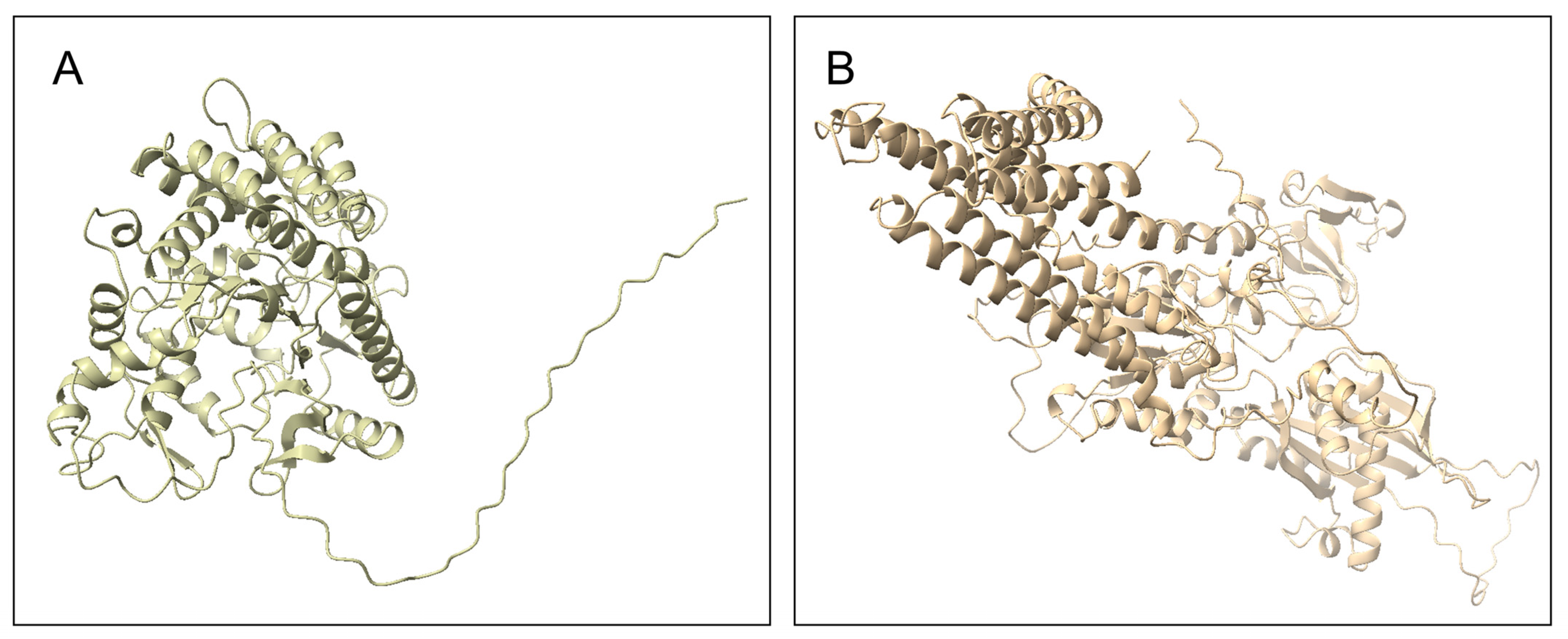 Biology 11 01226 g004