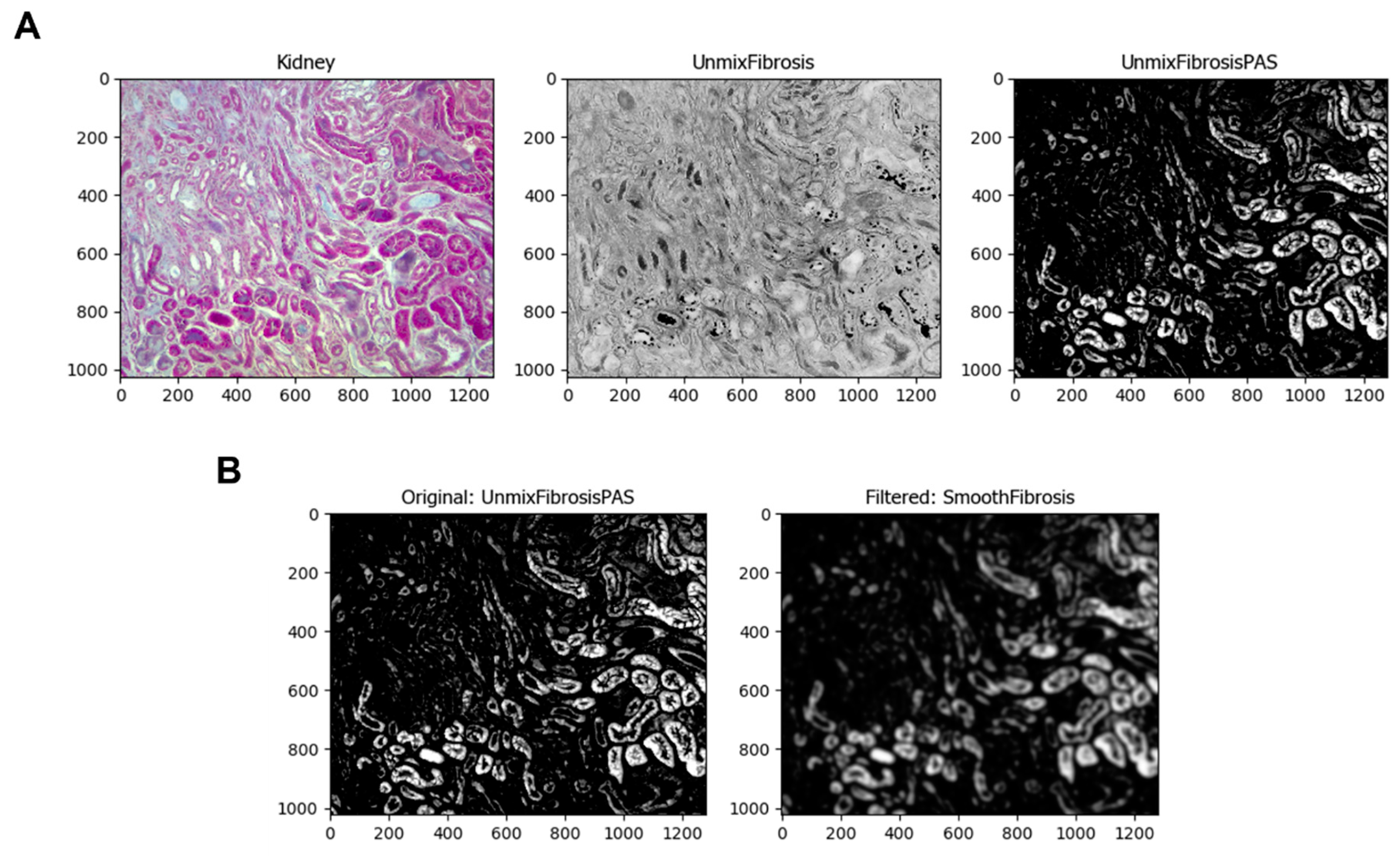 Biology 11 01227 g003a 550