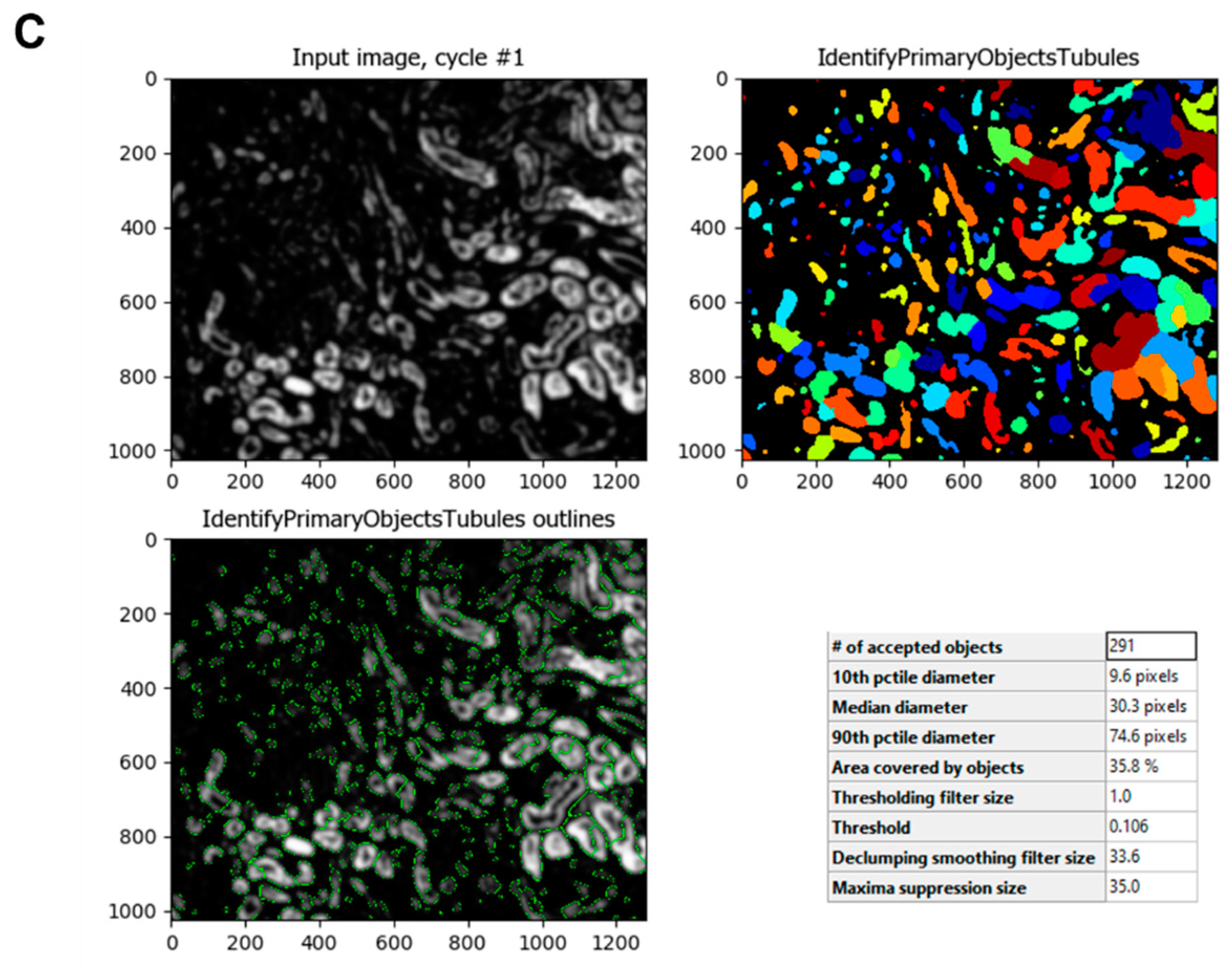 Biology 11 01227 g003b 550