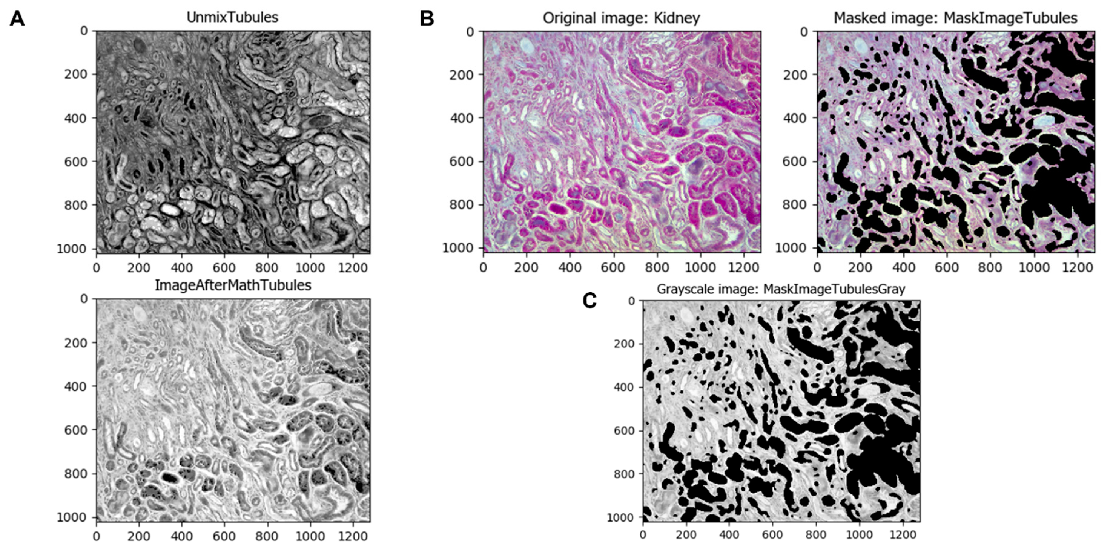 Biology 11 01227 g004 550